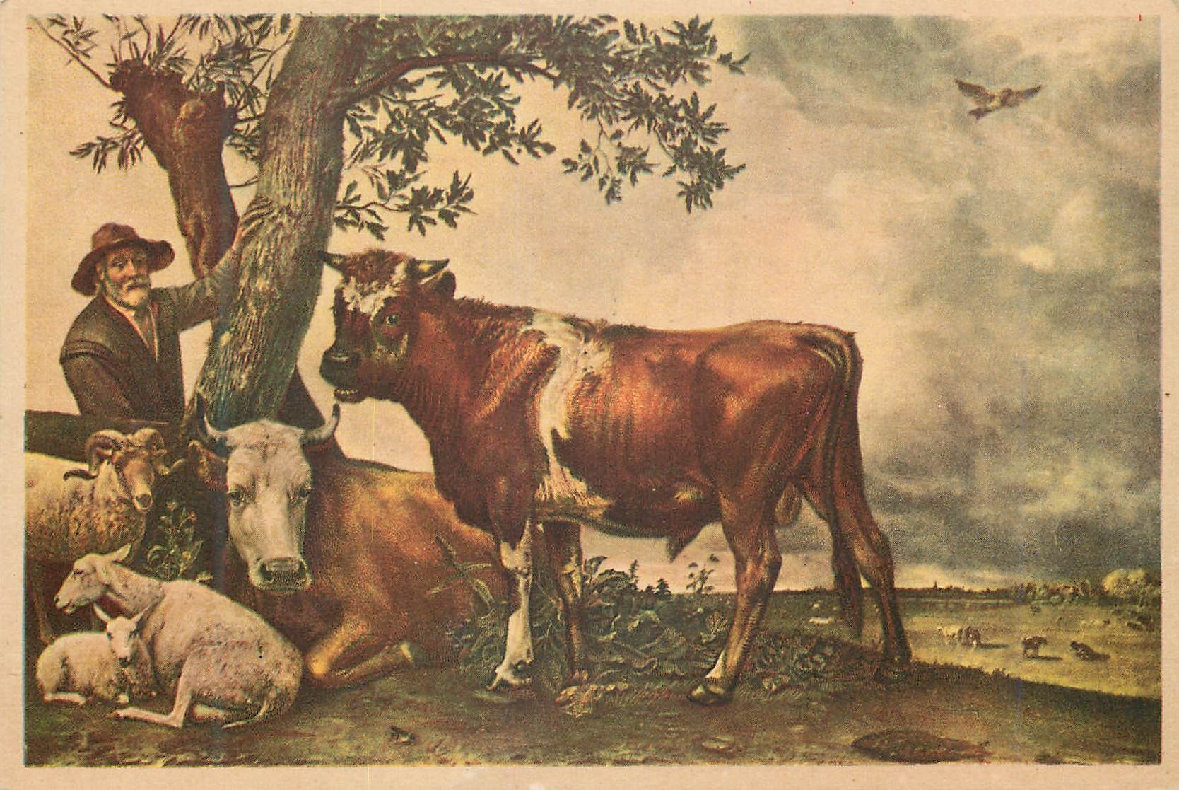CPM Paulus Potter Le Jeune Taureau