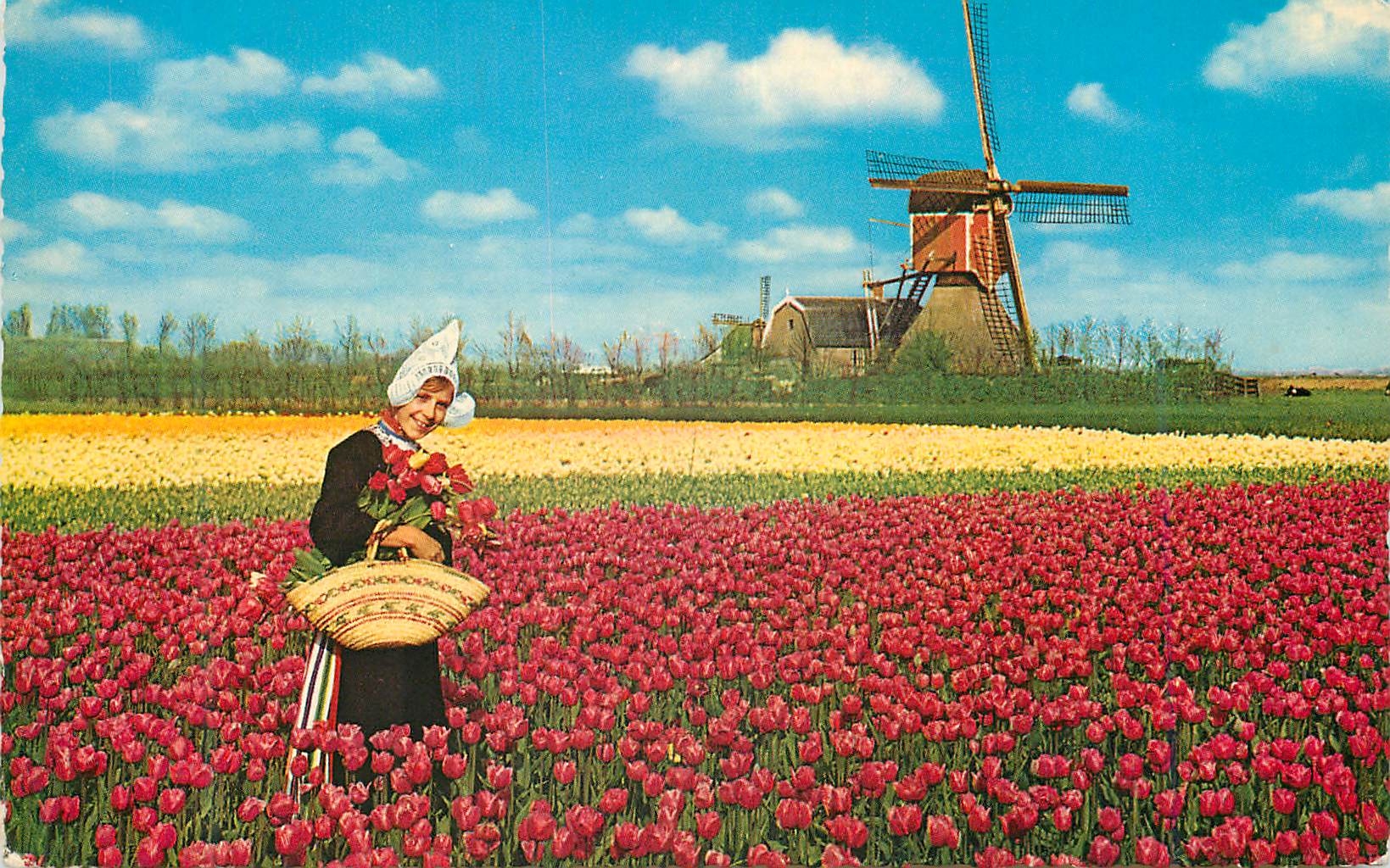 CPM Holland Land of Flowers and Wind mille