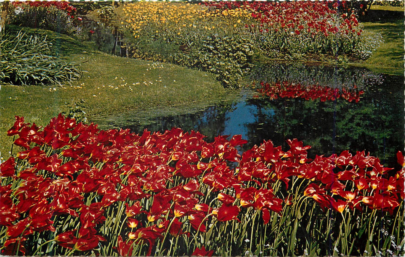 CPM De Bloemenvelden in Bloei It is Bulb Time