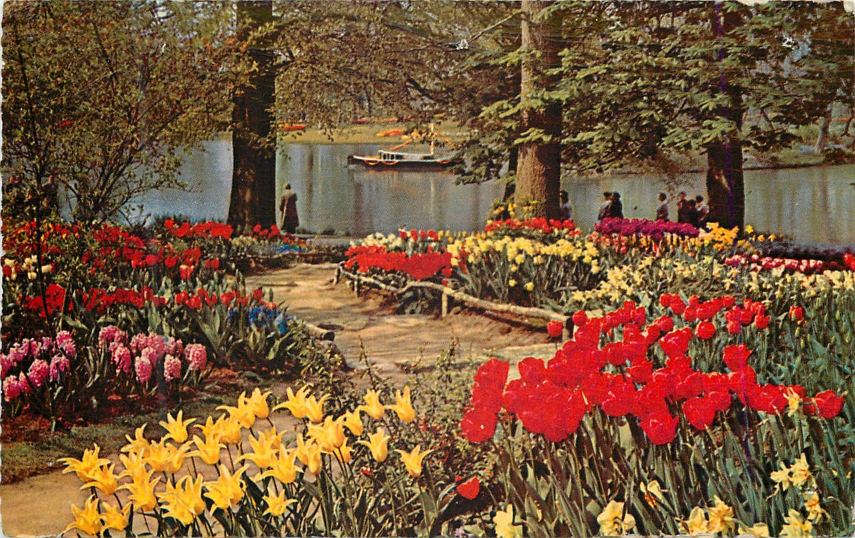CPM De Bloemenvelden in Bloei It is Bulb Time