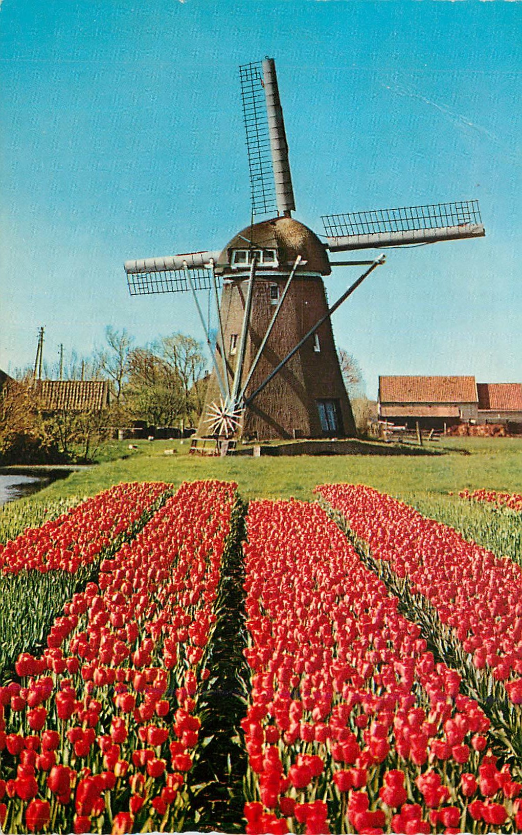 CPM Holland Land of Flowers and Wind mills