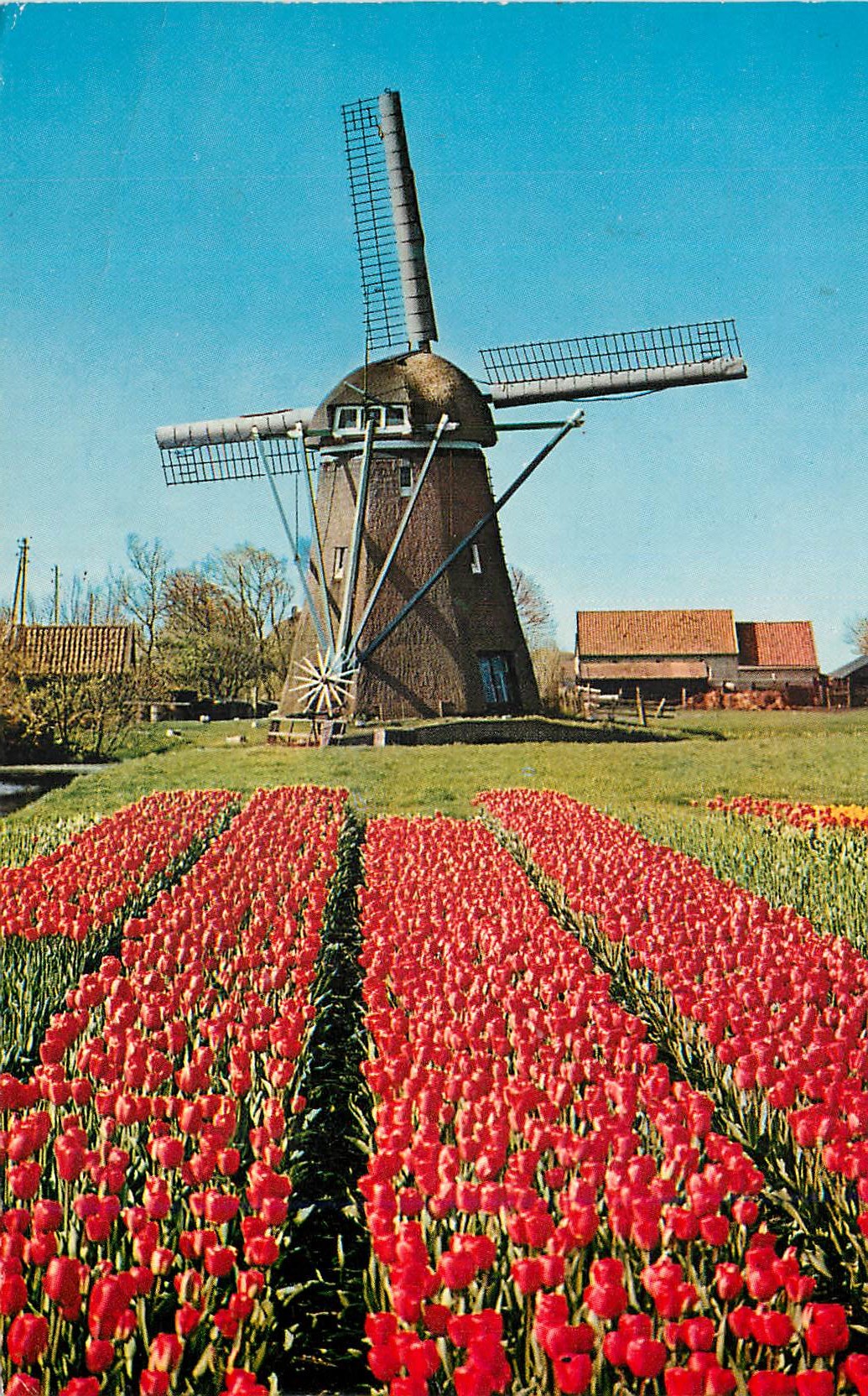 CPM Holland Land of Flowers and Wind mills