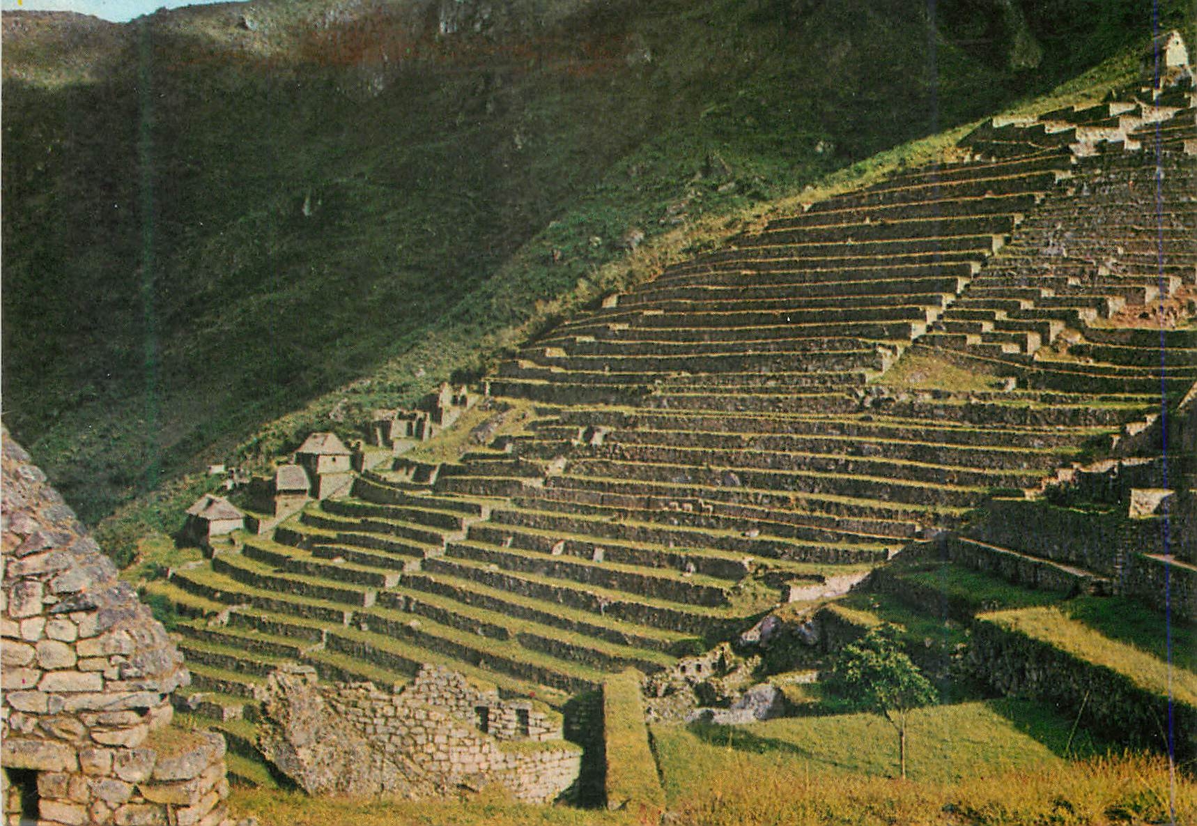 CPM Andenes Incaicos Inca Terraces for Agriculture Machupicchu Peru