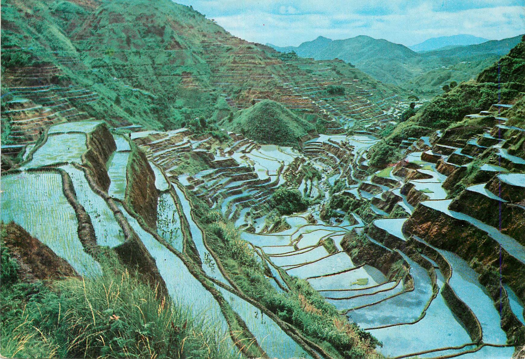 CPM Wonder of the World The Rice Terraces of the Philippines