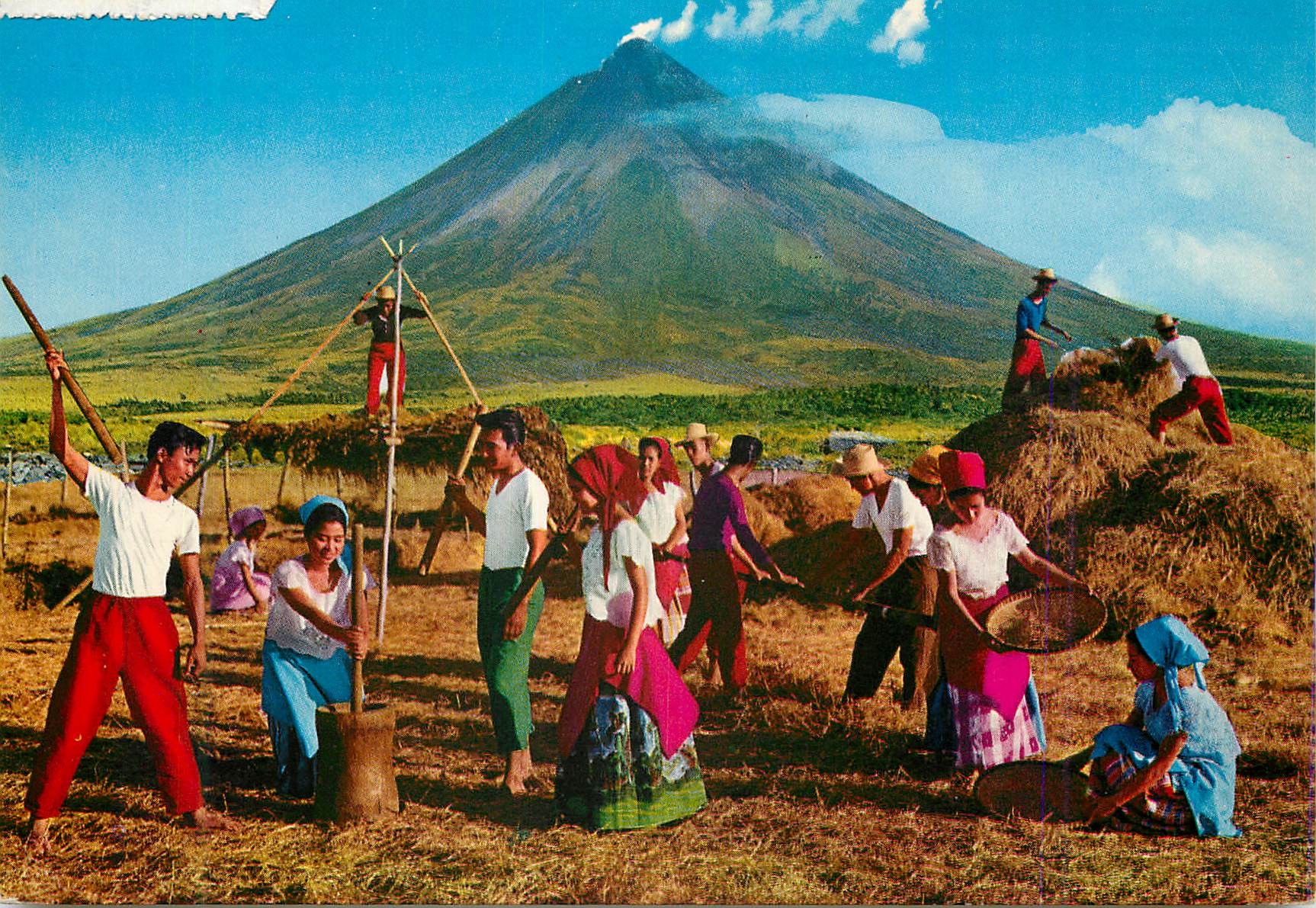 CPM In many parts of the country rice the staple food is still thresheld pounded and harvested by hand Philippines