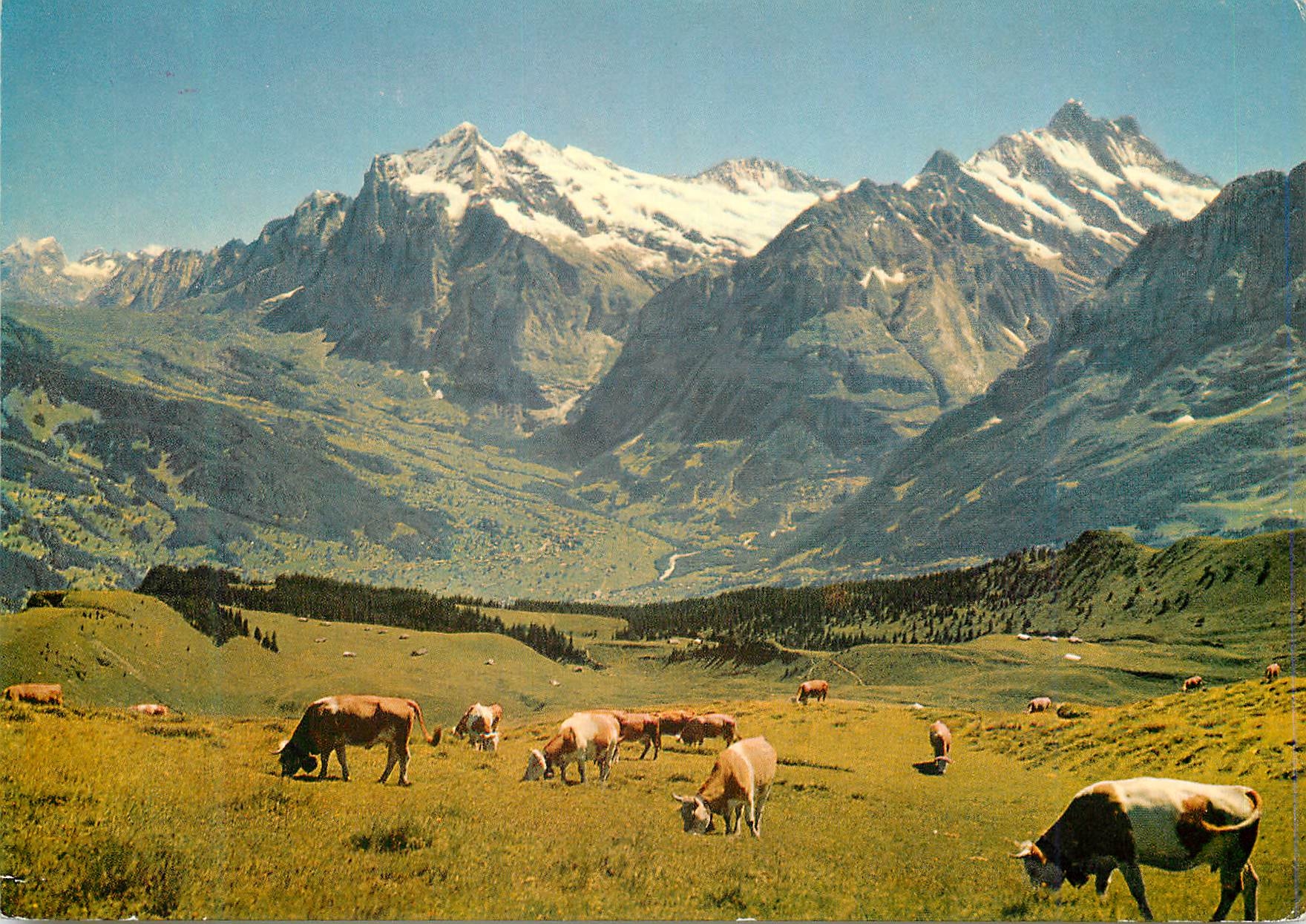 CPM Wetterhorn Schreckhorn und Grindelwald von Mannlichen aus