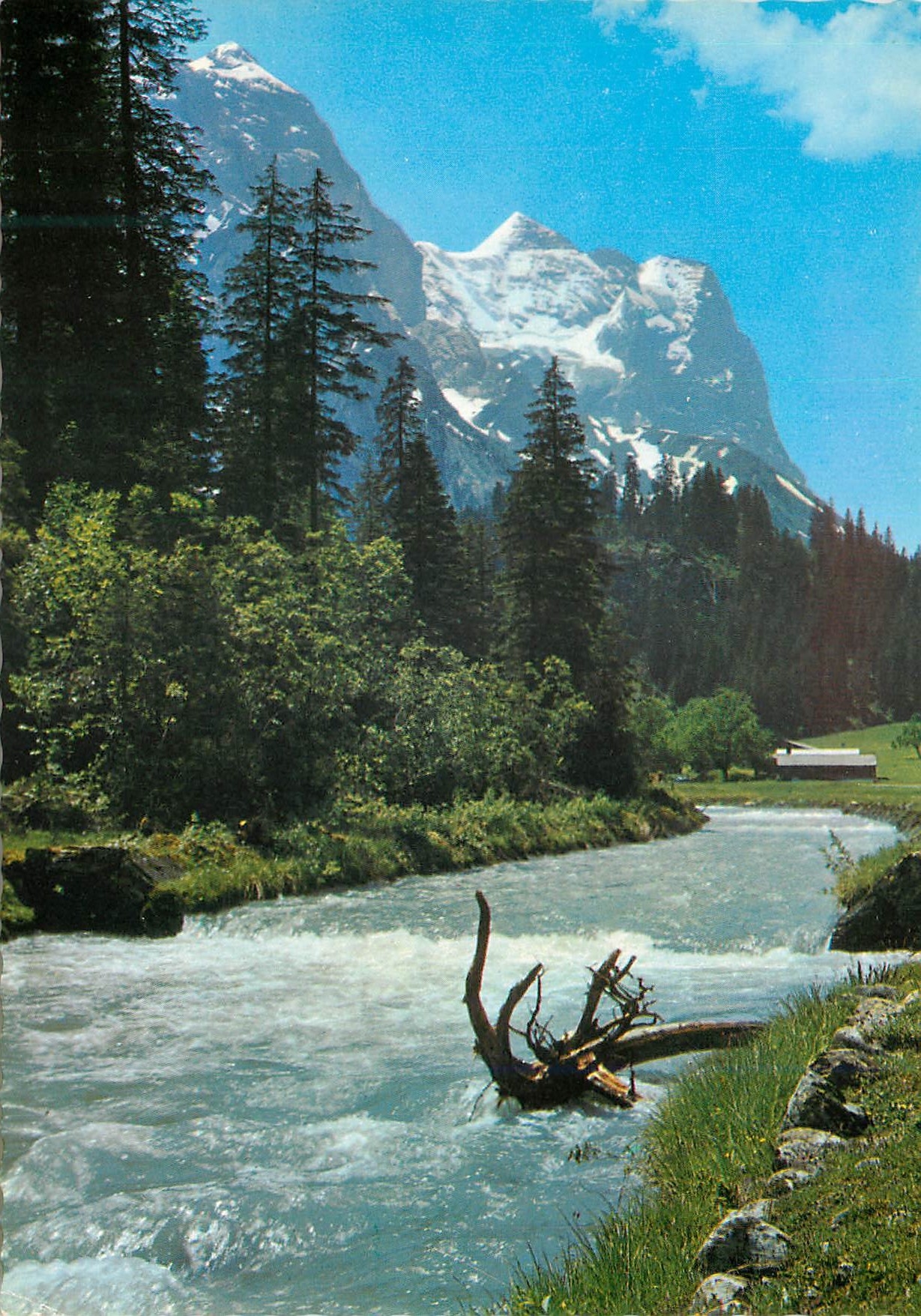 CPM Grosses Wellhorn Wetterhorn
