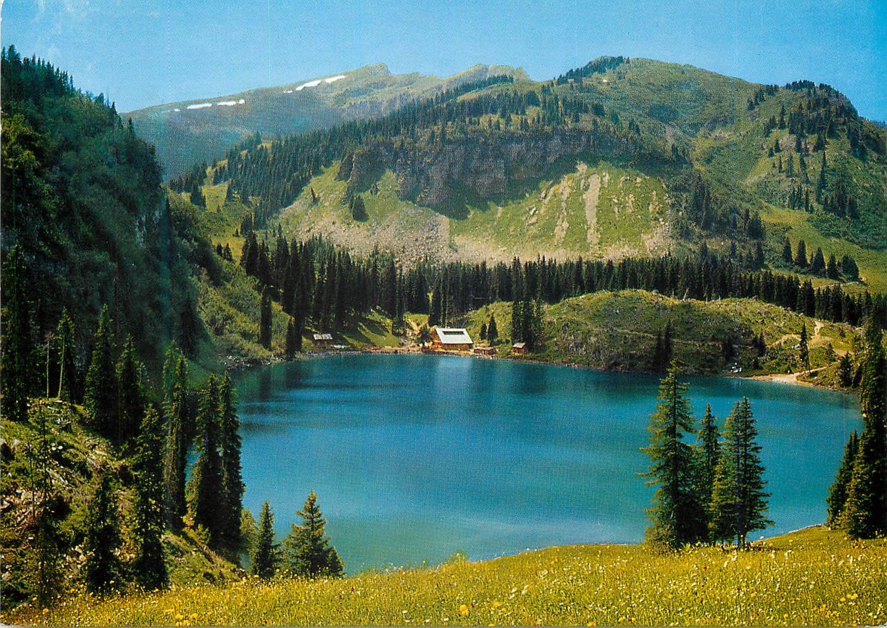 CPM Lac des Chavonnes au fond le Chamossaire