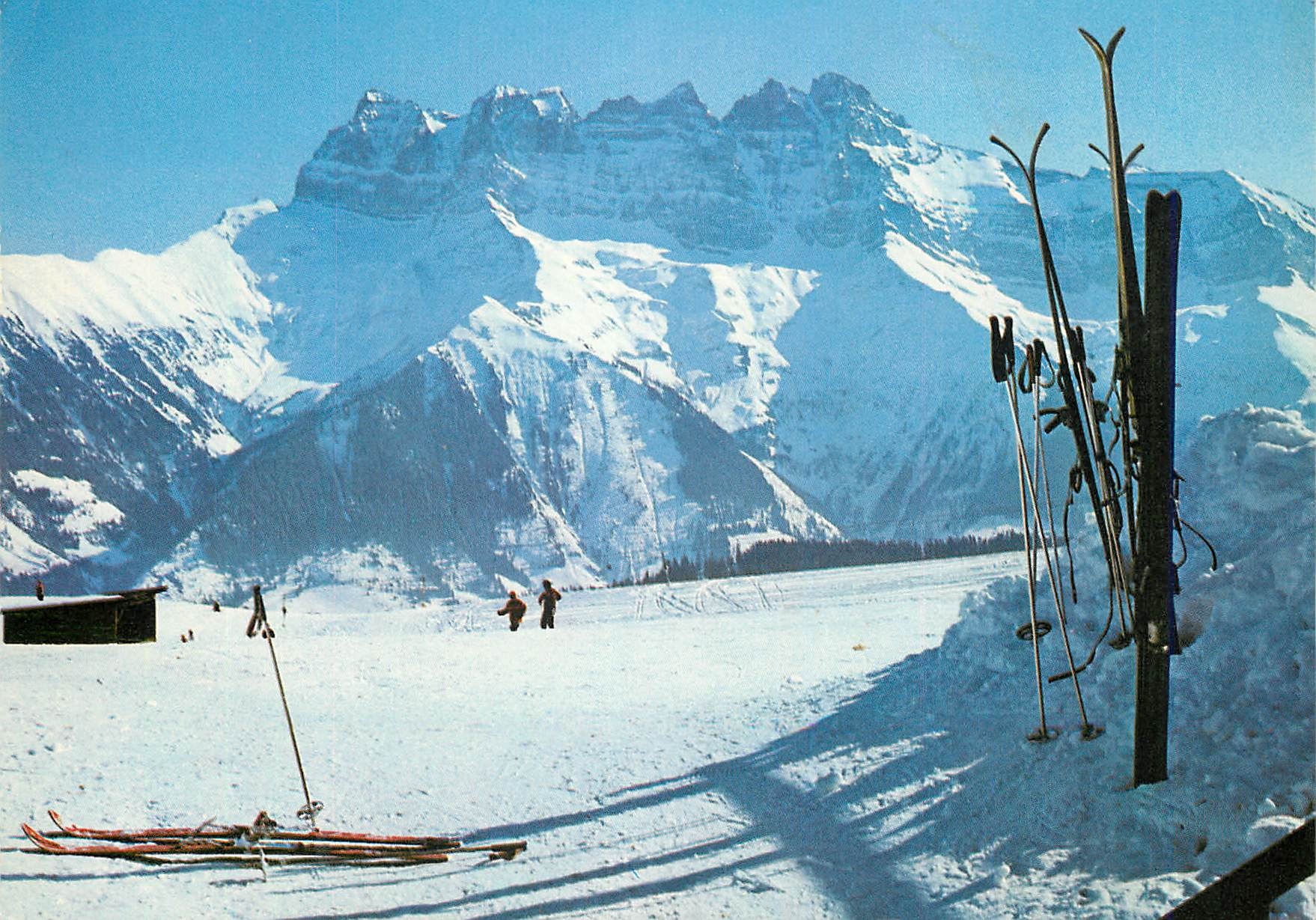 CPM La Foilleuse sur MOrgins Valais Les Dents du Midi