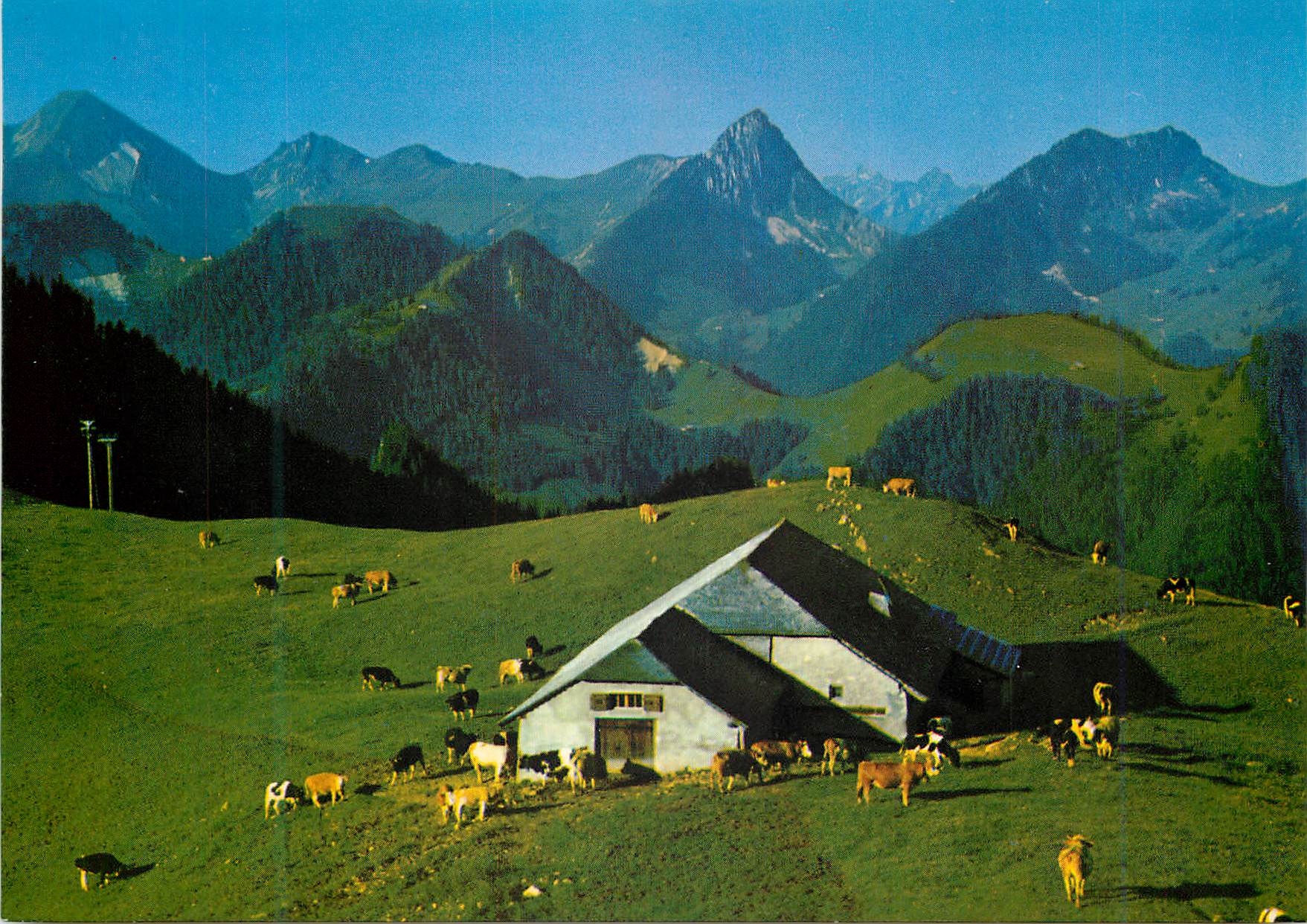 CPM Panorama de Vounetz Charmey
