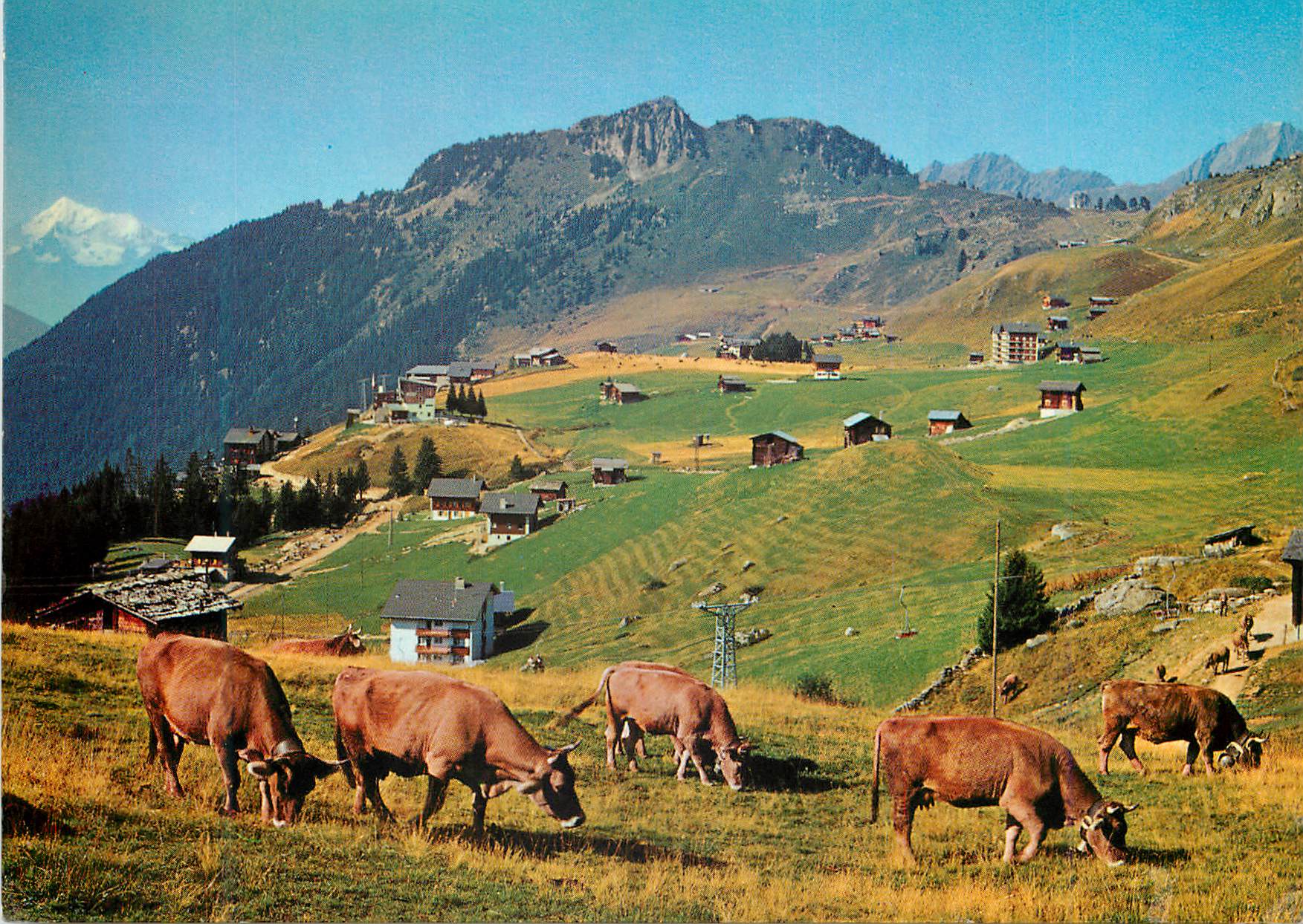 CPM Riederalp Wallis mit Weisshorn und Riederhorn
