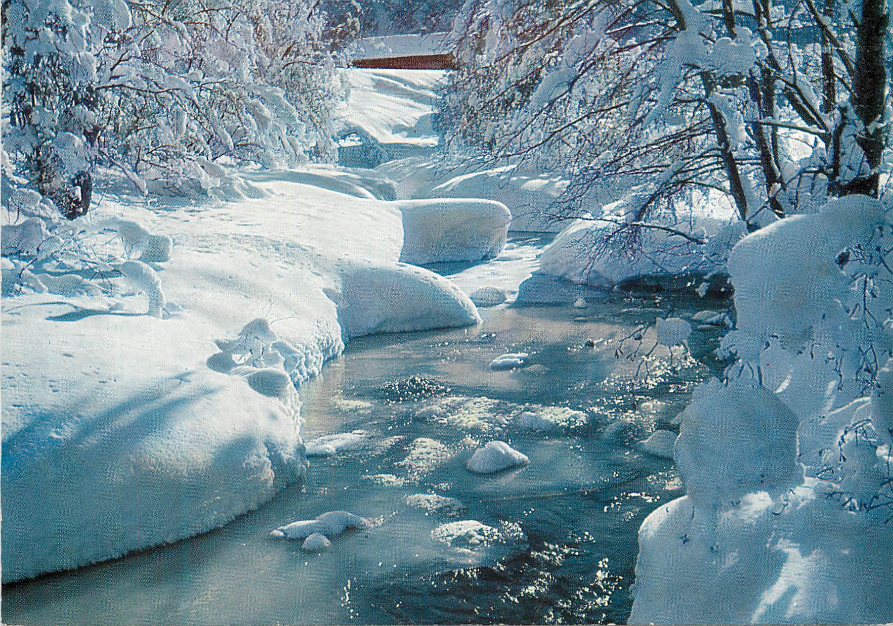 CPM Els und Schnee am Bergbach Le petit ruisseau en hiver