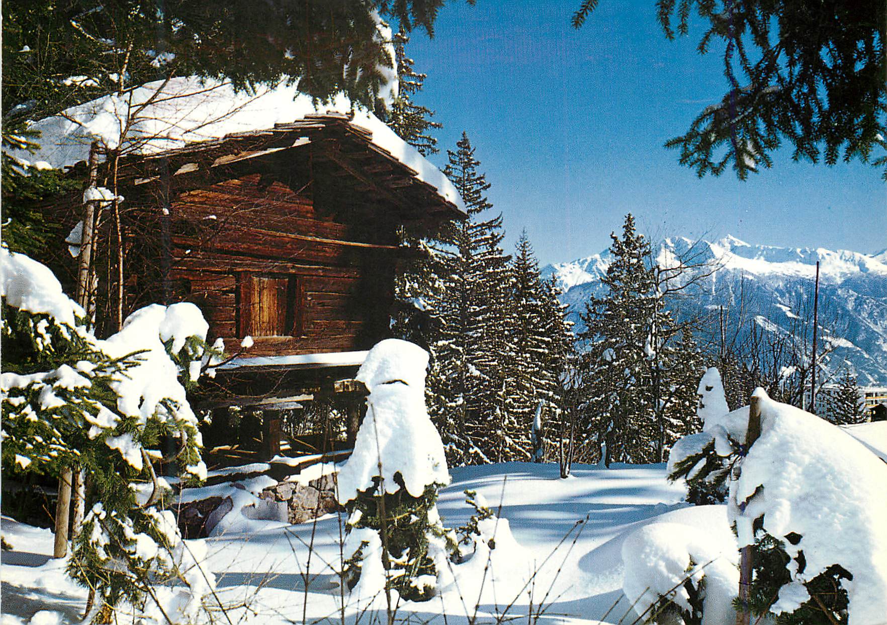 CPM Paysage d hiver