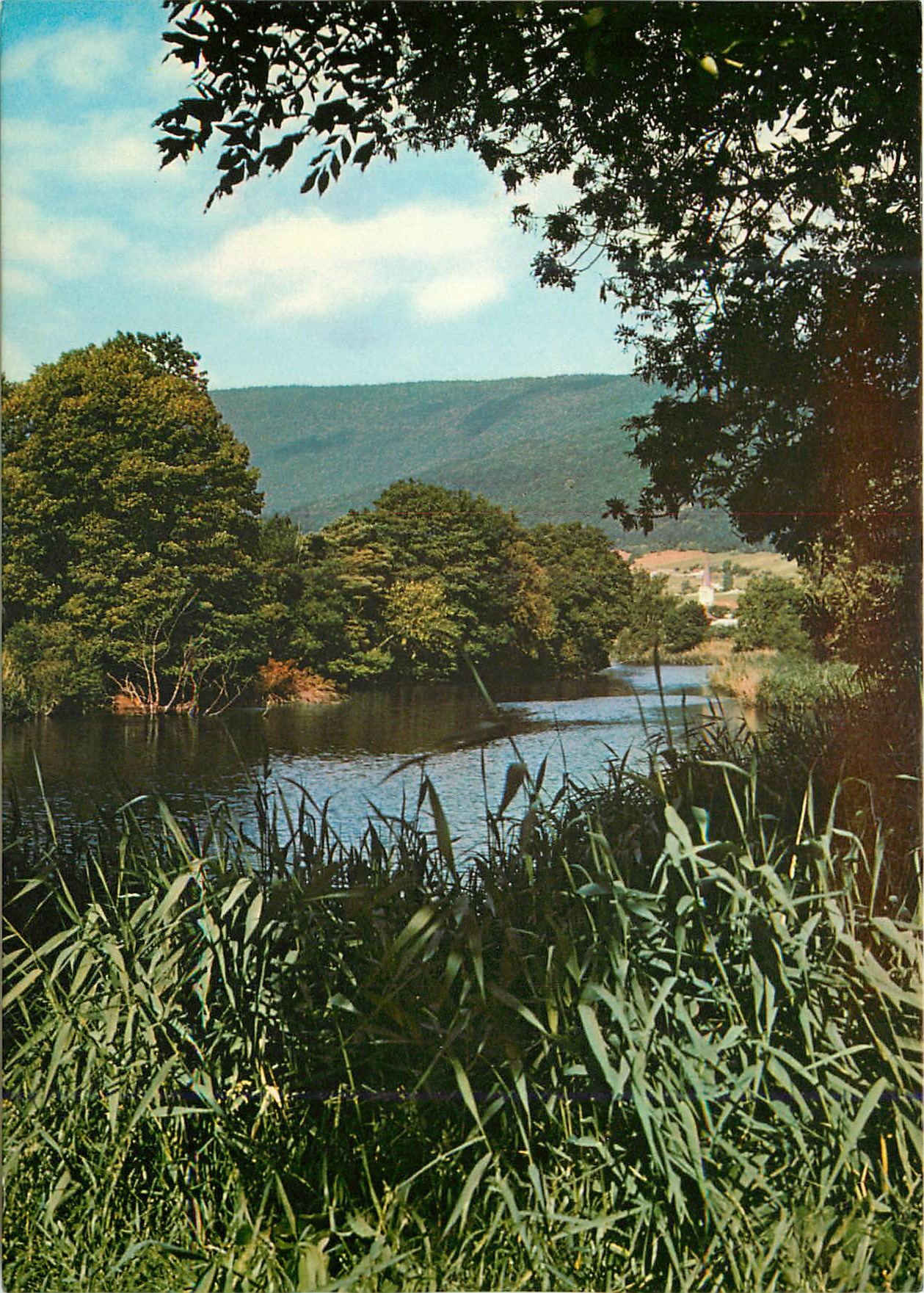 CPM La Vieille Thielle Biotope a sauvegarder