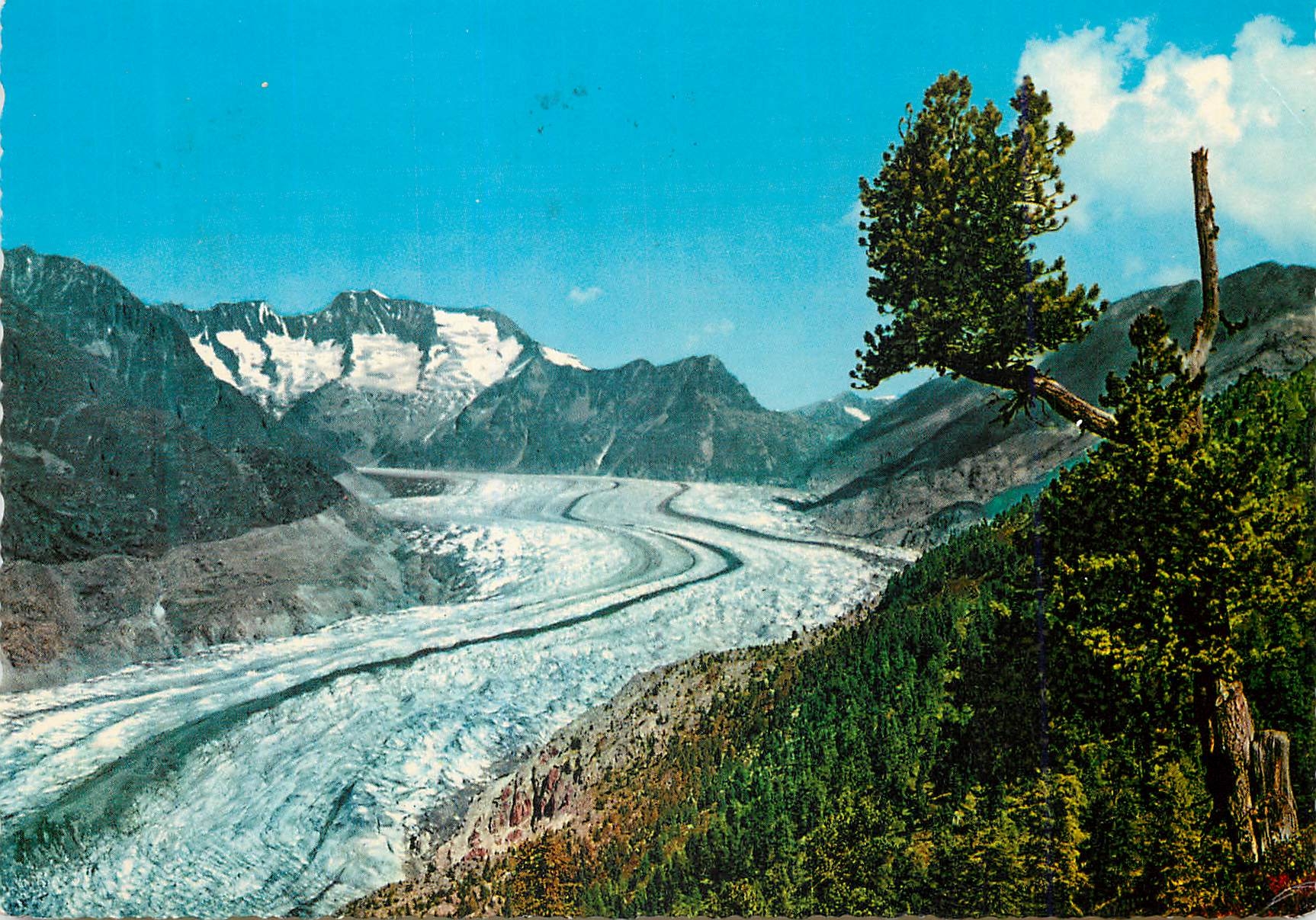 CPM Valais Parc national au glacier Aletsch