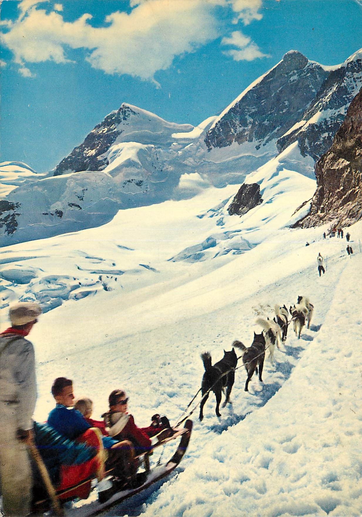 CPA Jungfraujoch Rottalhorn und Jungfrau Polarhunde Luge Chiens