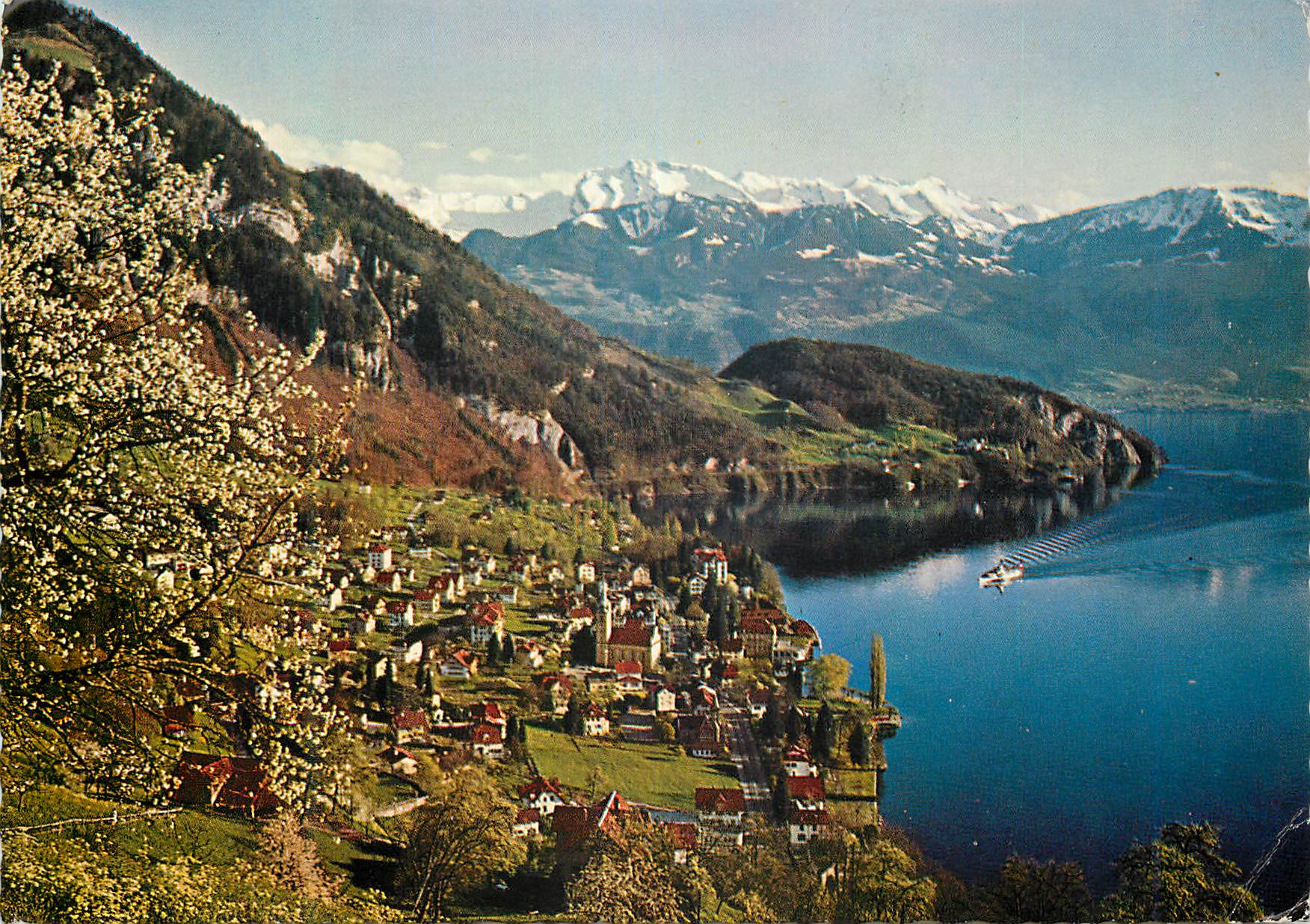 CPA Vitznau am Viewaldstattersee mit den Nidwaldner Alpen