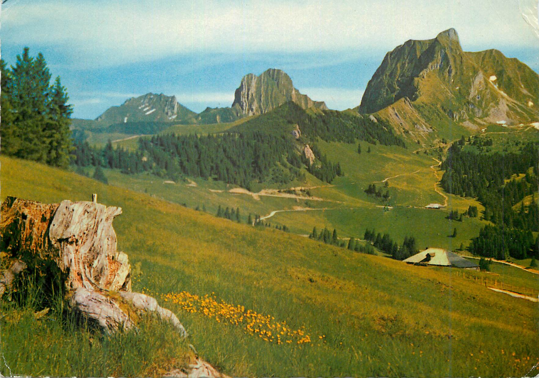 CPM Gantrisch Schwefelberg Gebiet Berner Oberland