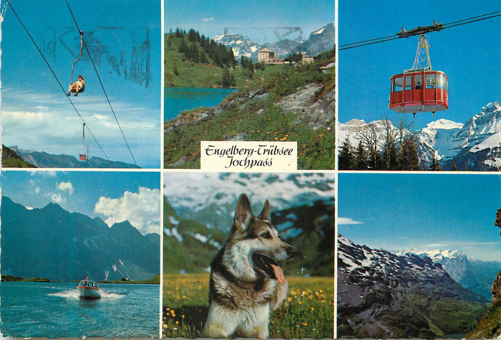 CPM Engelberg Trubsee Jochpass Chien Teleferique