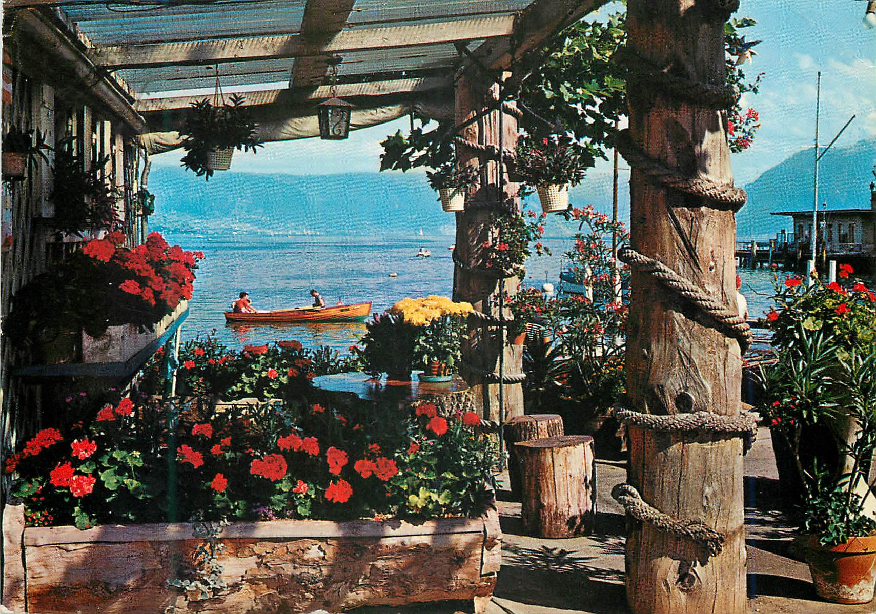 CPM Lac Leman Vue pittoresque sur le lac Leman