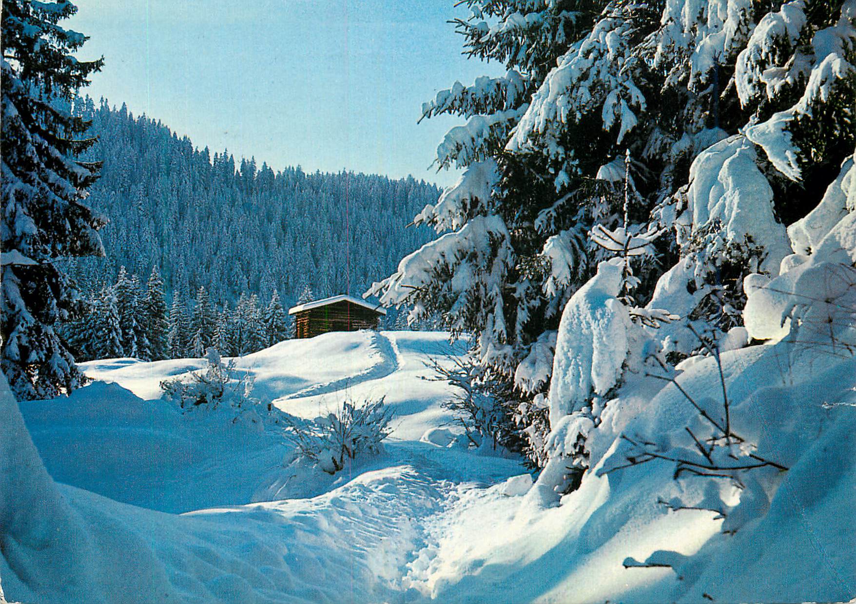 CPM Winterland in Graubunden in Flims