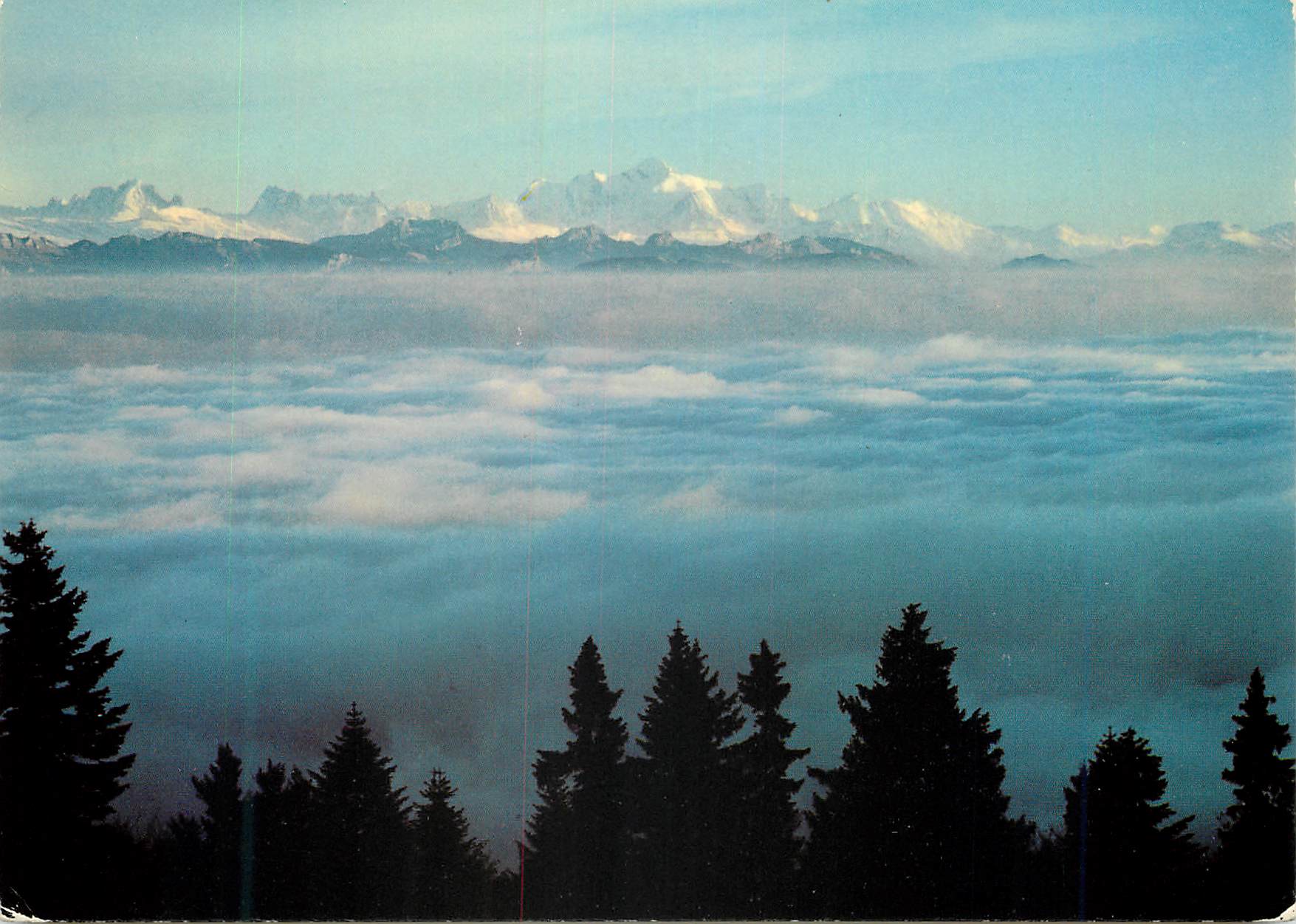 CPM Mont Blanc et mer de brouillard vus du Jura
