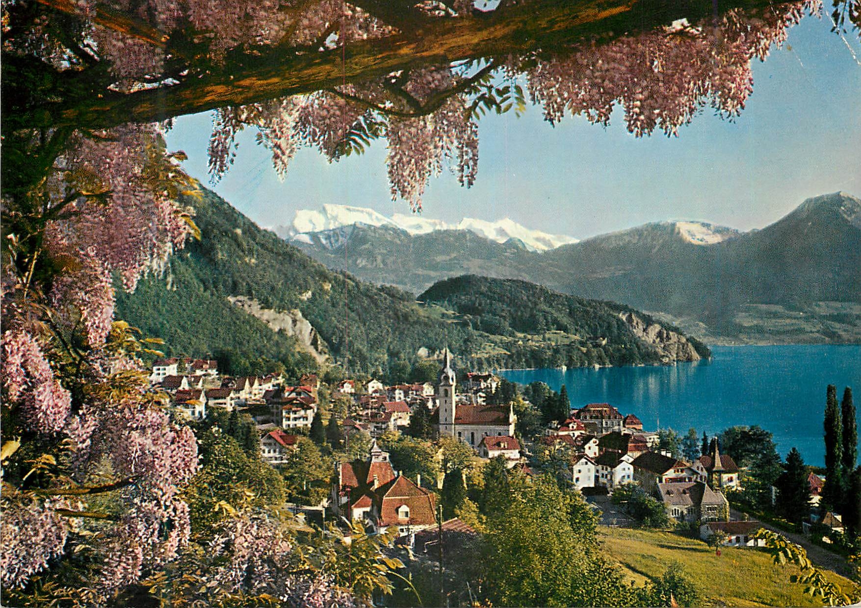 CPM Vitznau am Vierwaldstattersee Glyzinen Pergola und Nichwaldner Alpen