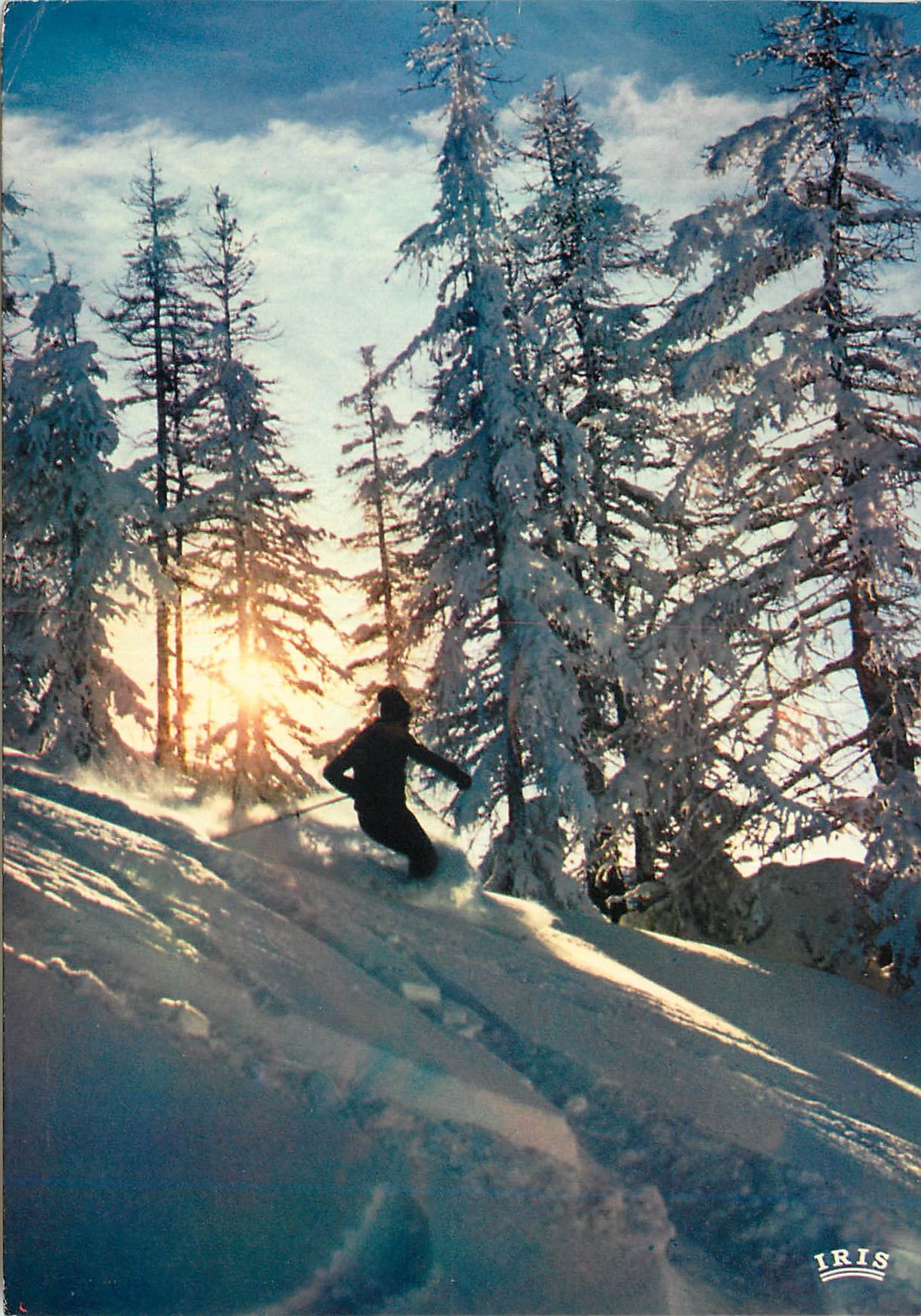 CPM Ski sauvage