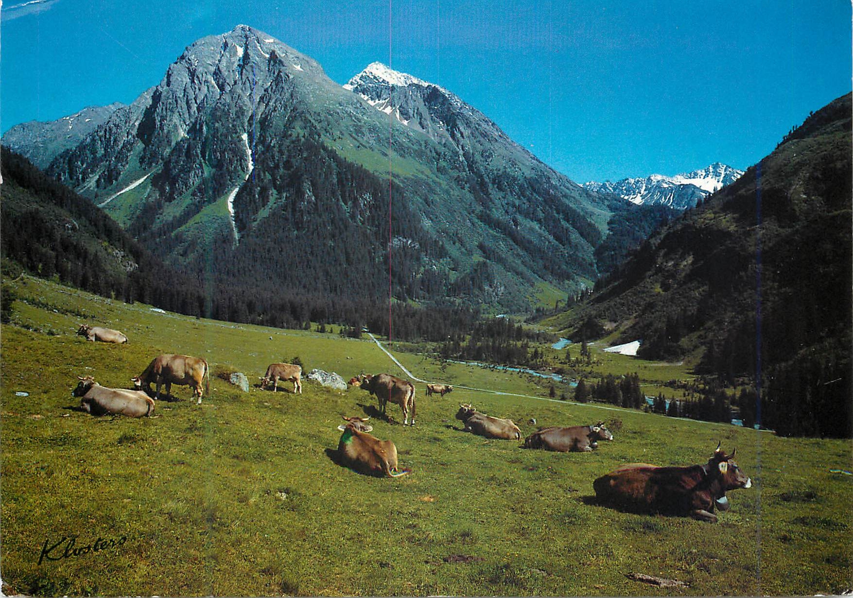 CPA Klosters Graubunden Schweiz Alp Pardenn mit Canardhorn Vereina Weisshorn