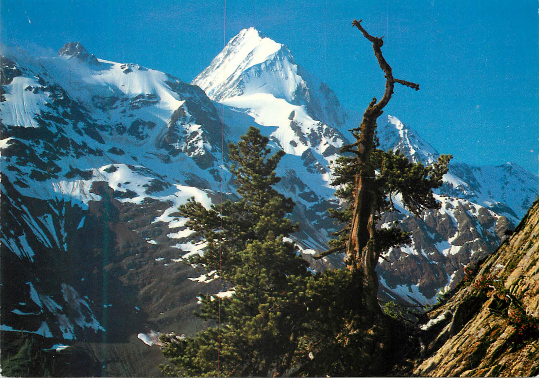 CPM Das Bietschhorn im Lotschental