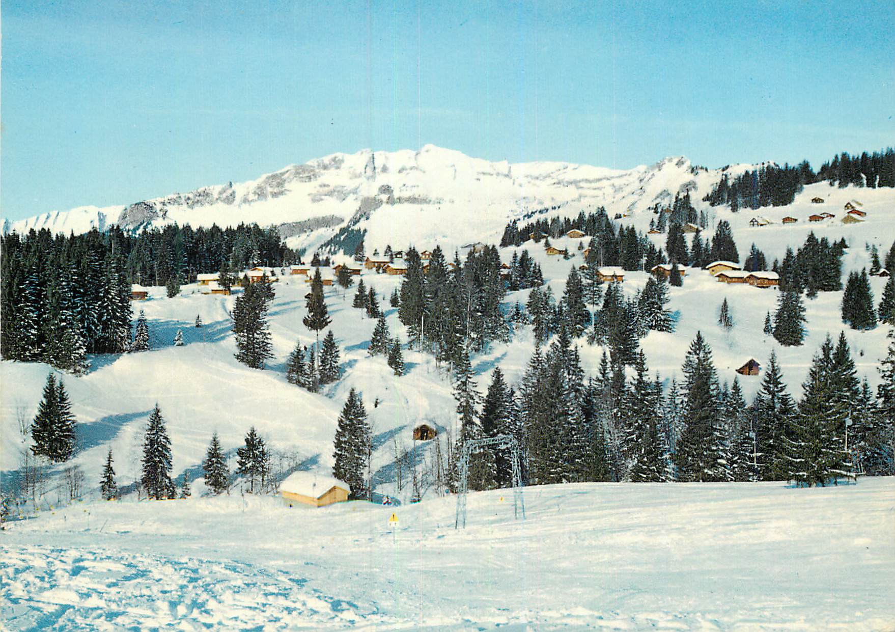 CPM Amden Arvenbuel