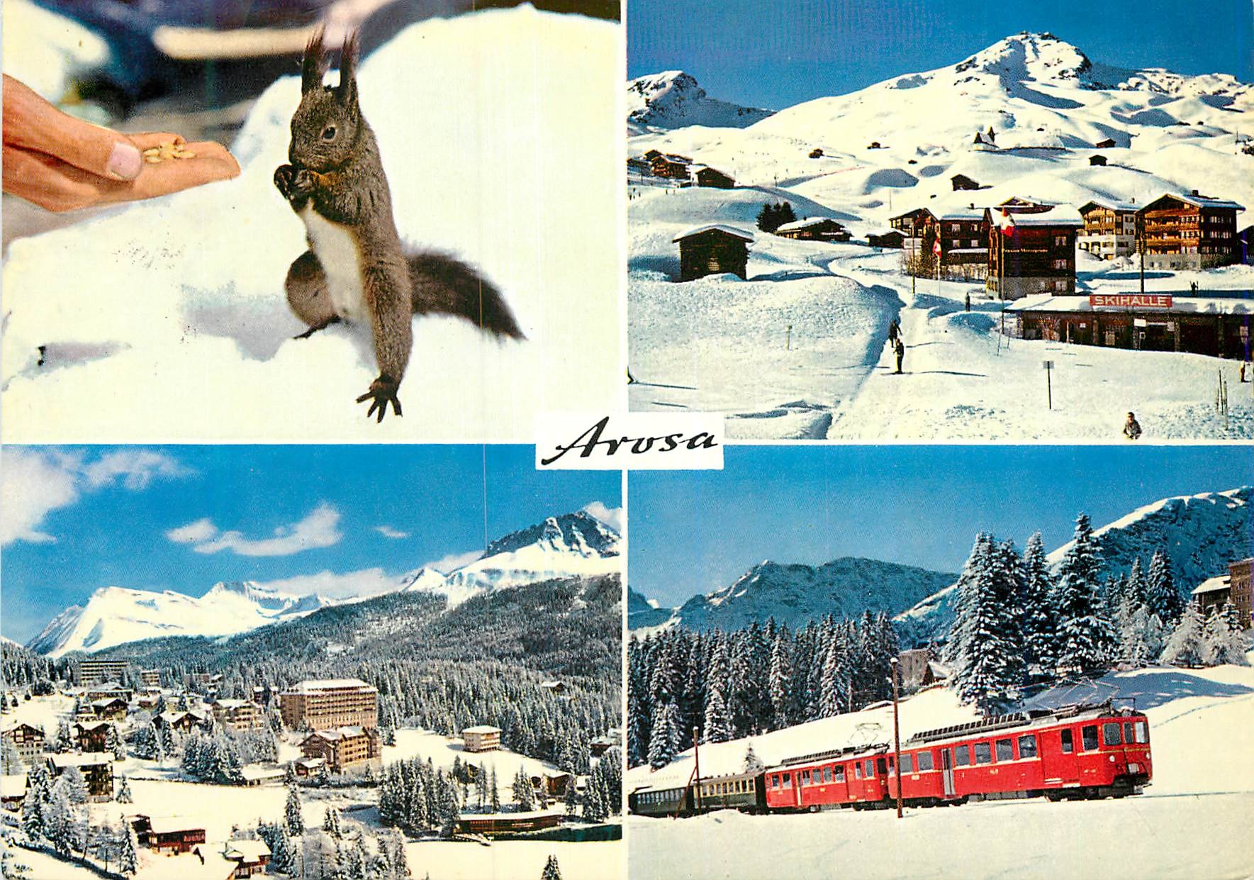 Arosa — Squirrel, ski resort, village and red train — Genker Foto+Verlag Arosa