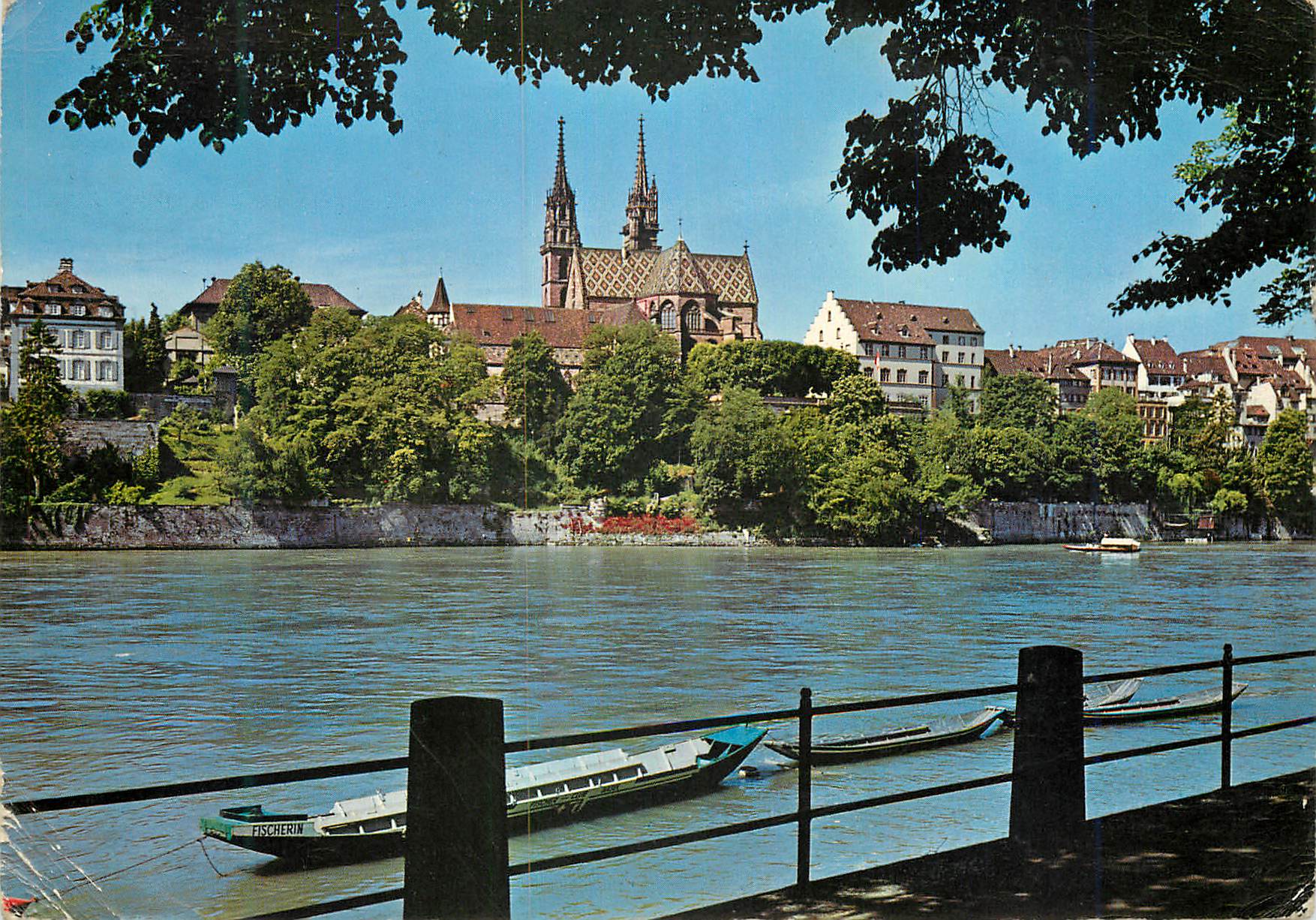 CPM Vue sur le Rhin et la Chathedrale