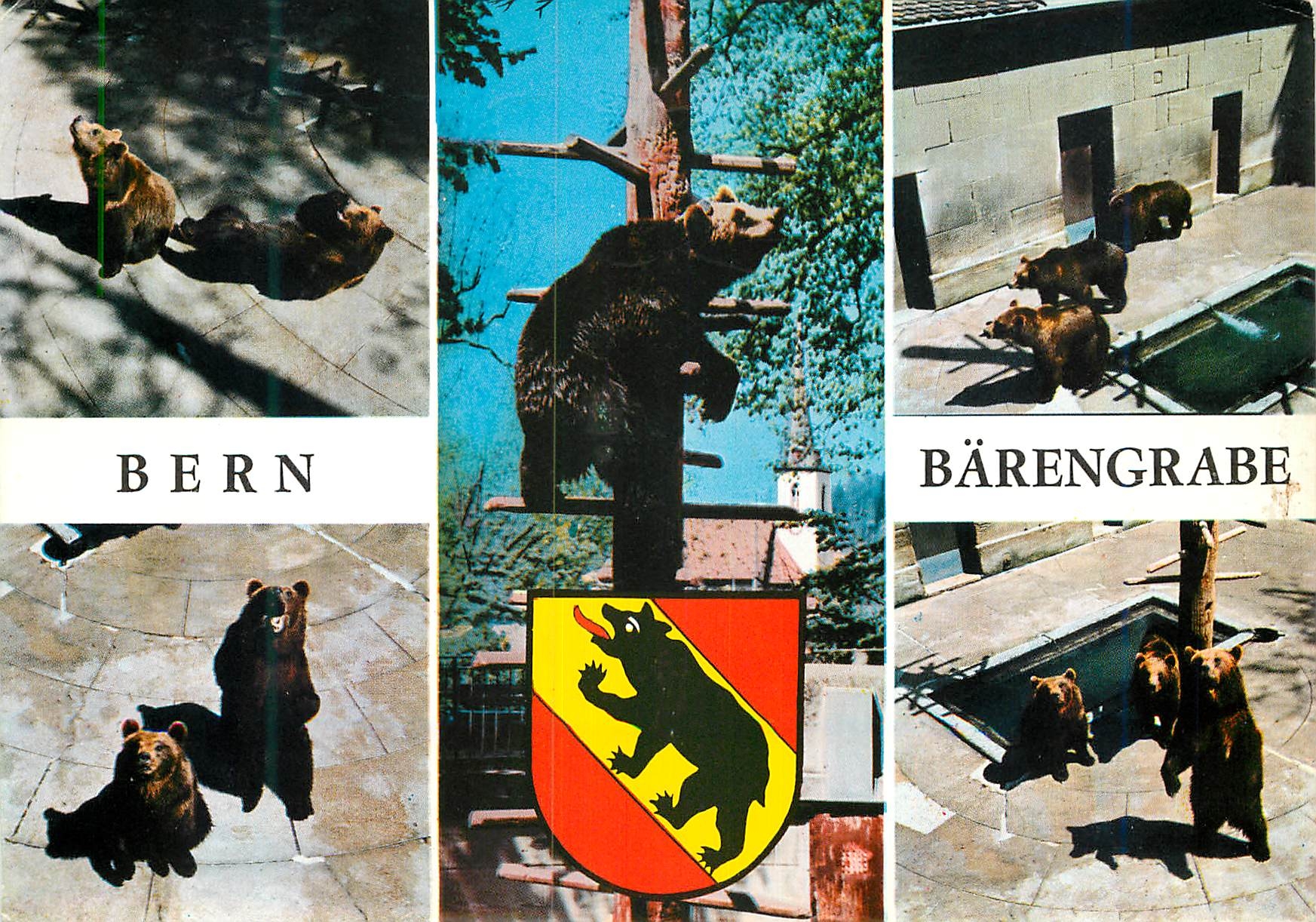 CPM Three Bears Berne