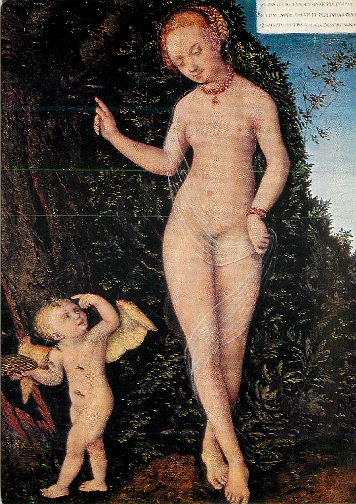 CPM Venus und Amor als Honigdieb