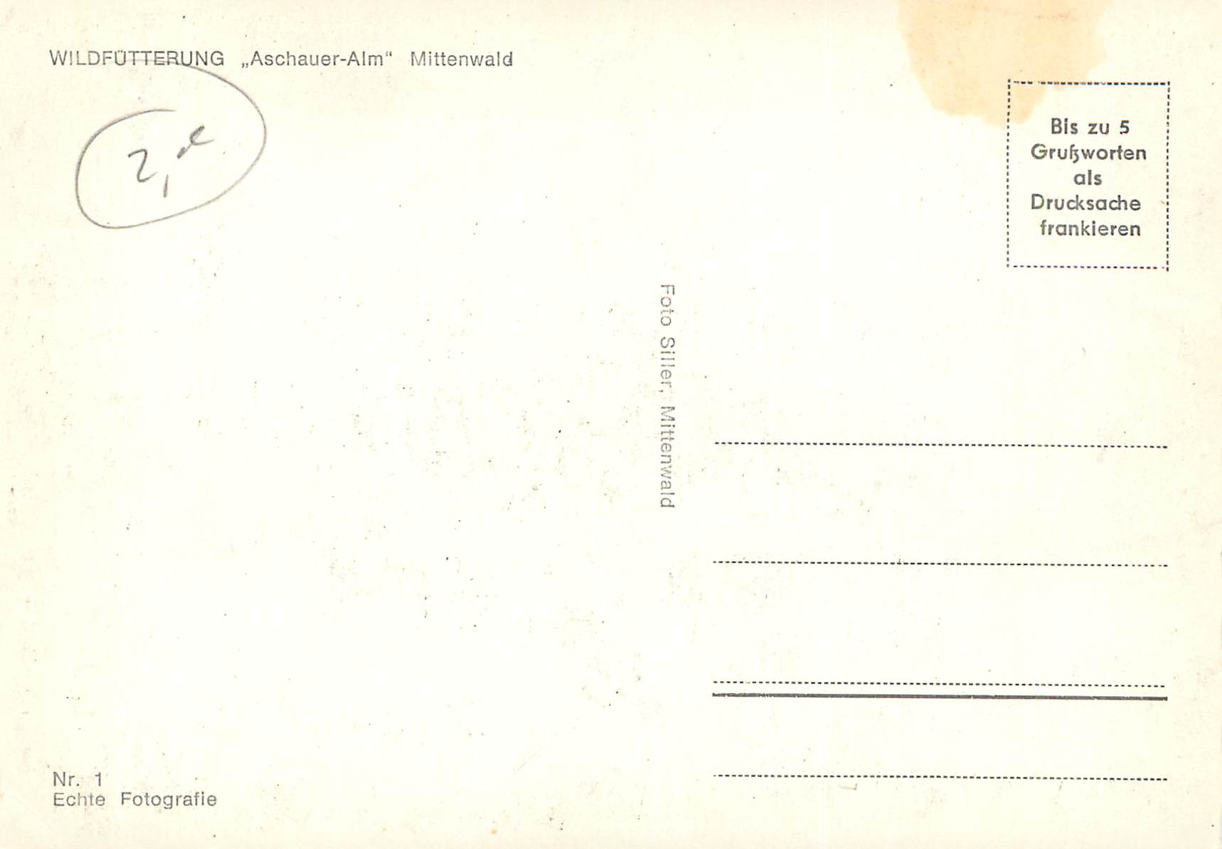 CPM Wilddotterung  — Back