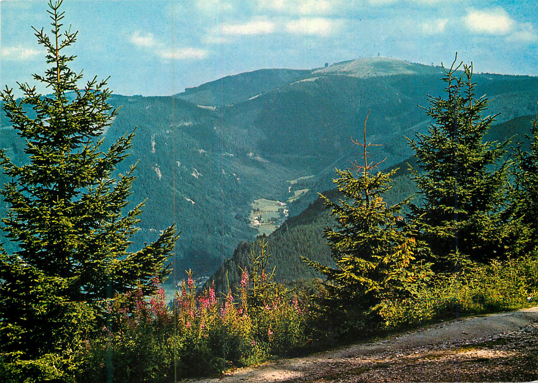 CPM Feldbergblick