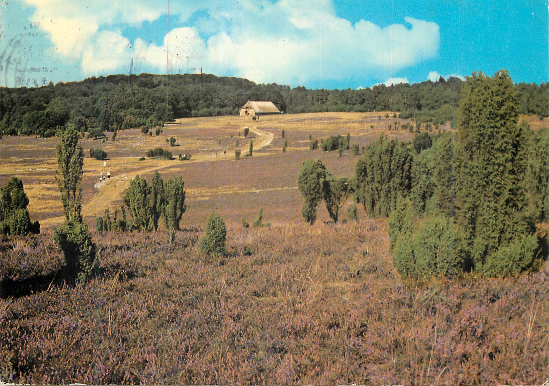 CPM Luneburger Heide