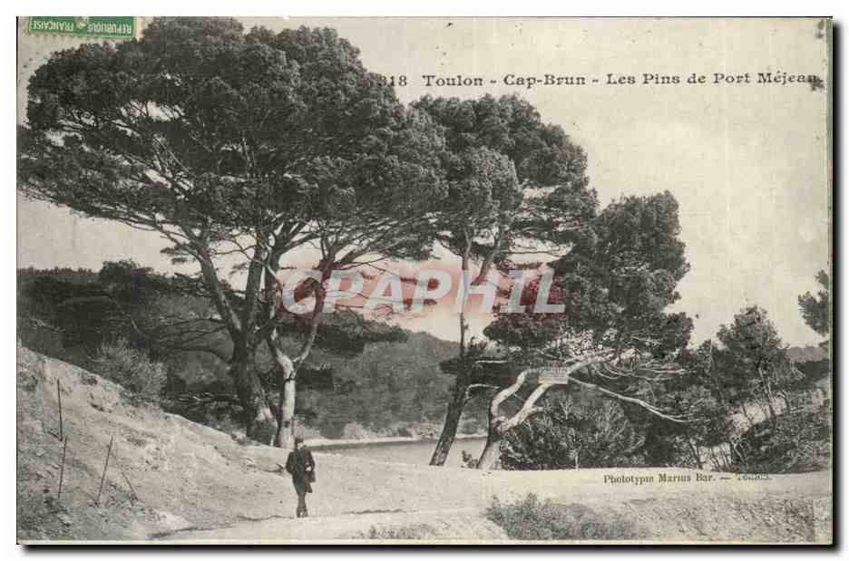 Toulon - Cap-Brun - Les Pins de Port Méjean — Phototypie Marius Bar, Toulon