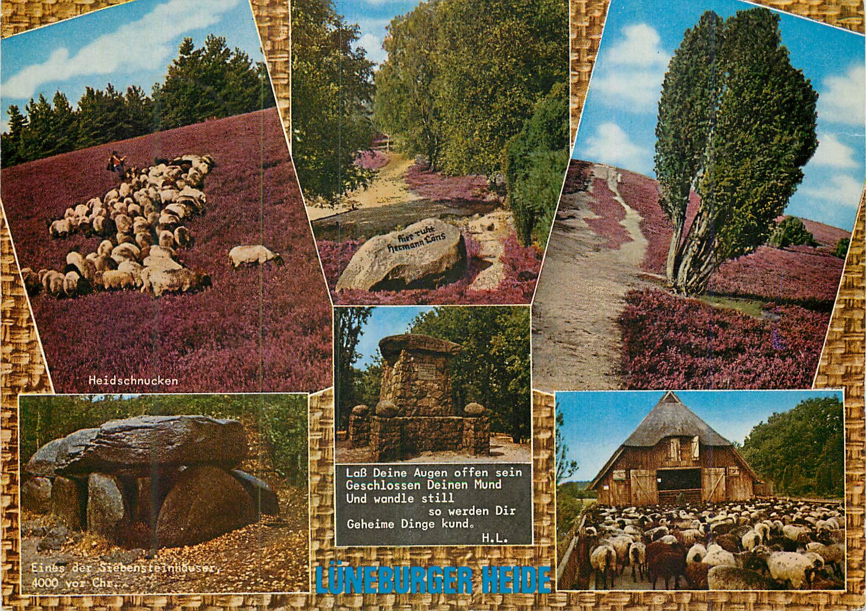 Lüneburger Heide — Heidschnucken, Pierre Freemann, Doline de pierre — Foto u. Verlag Rud. Rether u. Co., Hamburg