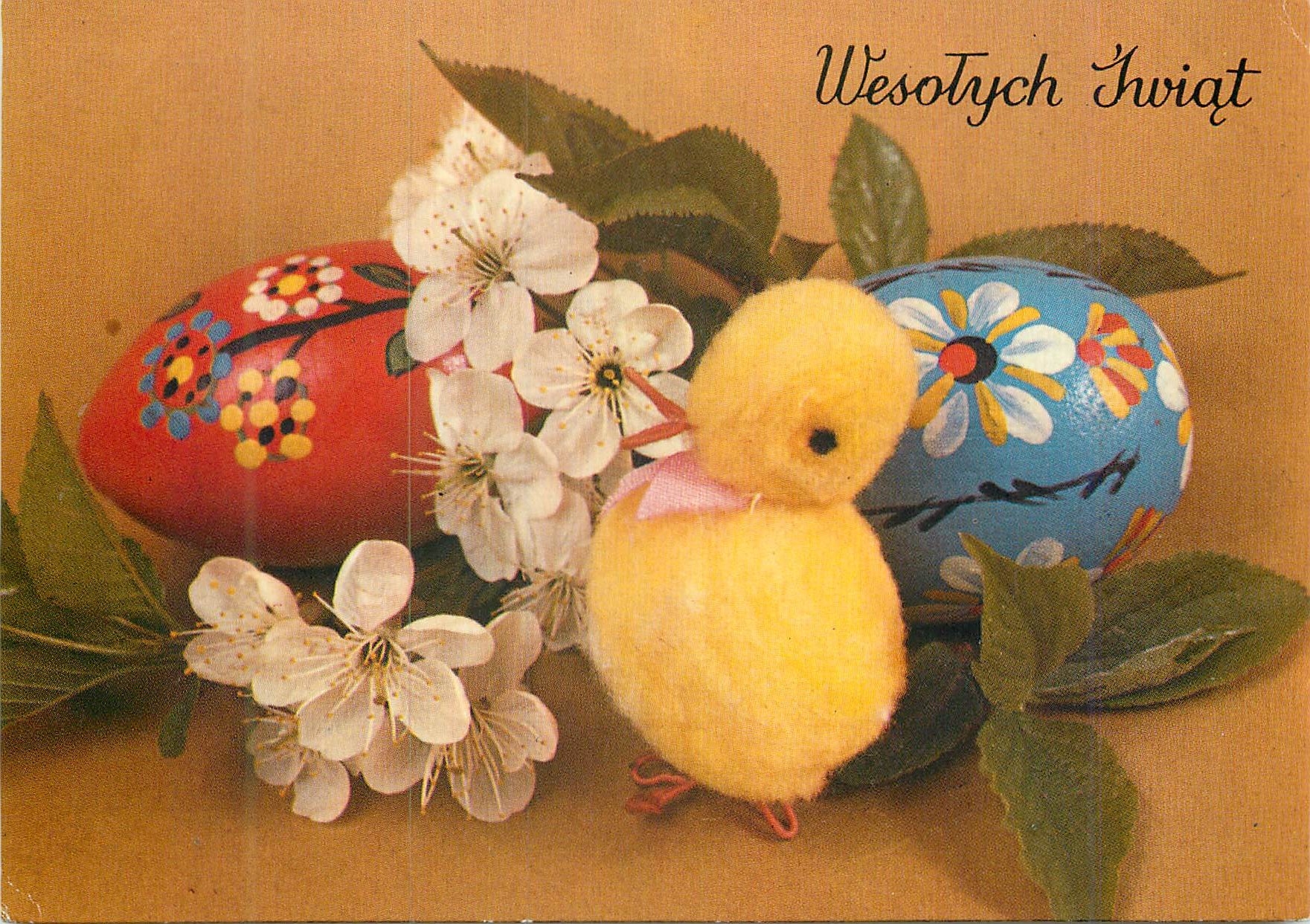 CPM Wesotych Iwiat-M.Hoffmann