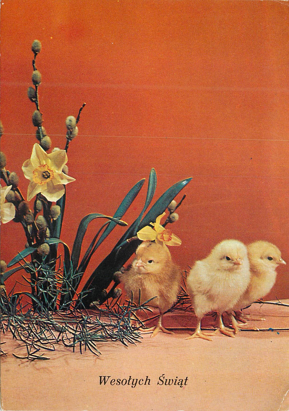 CPM Wesolych Swiat - S. Jablonska Poussin