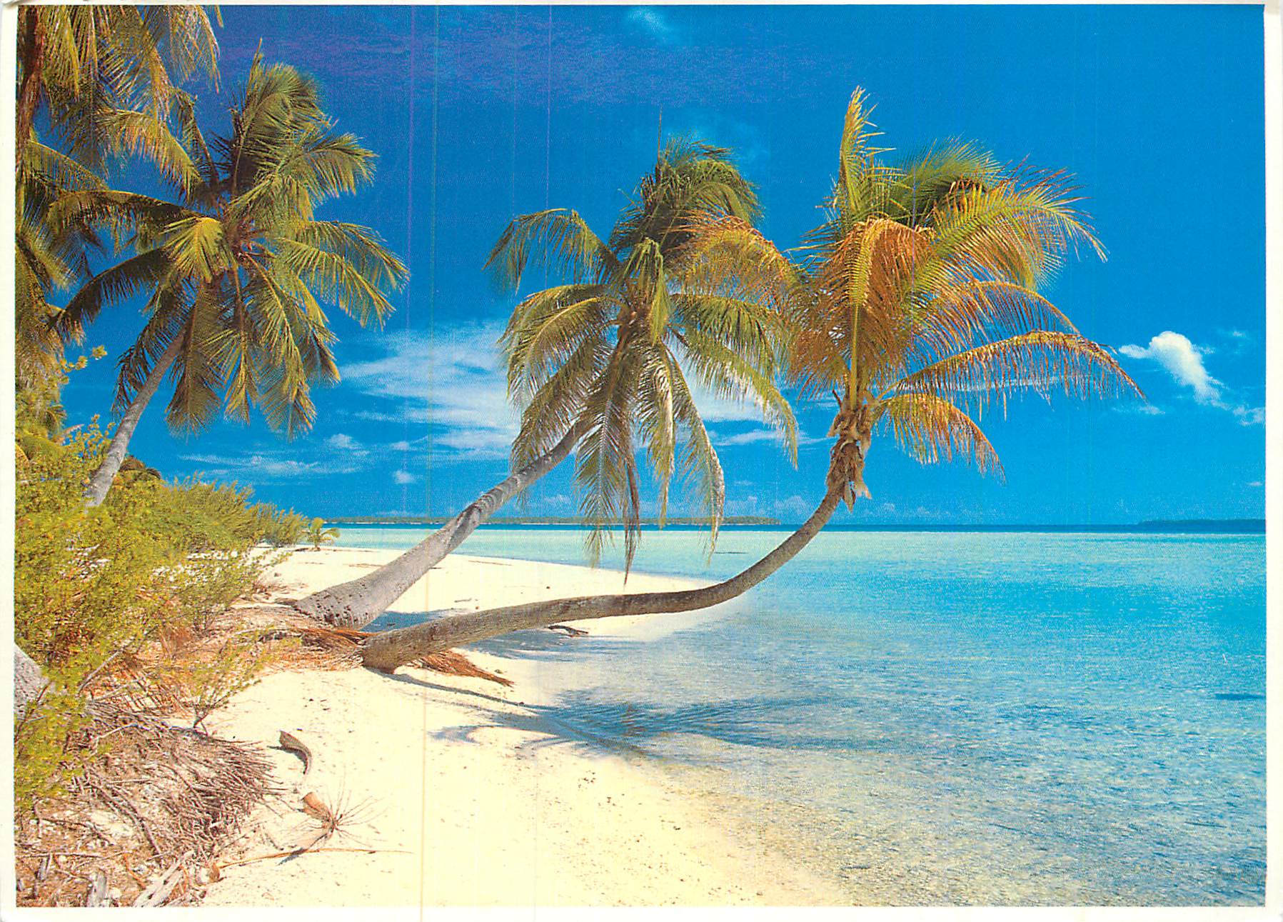 CPM White Beach Polynesian