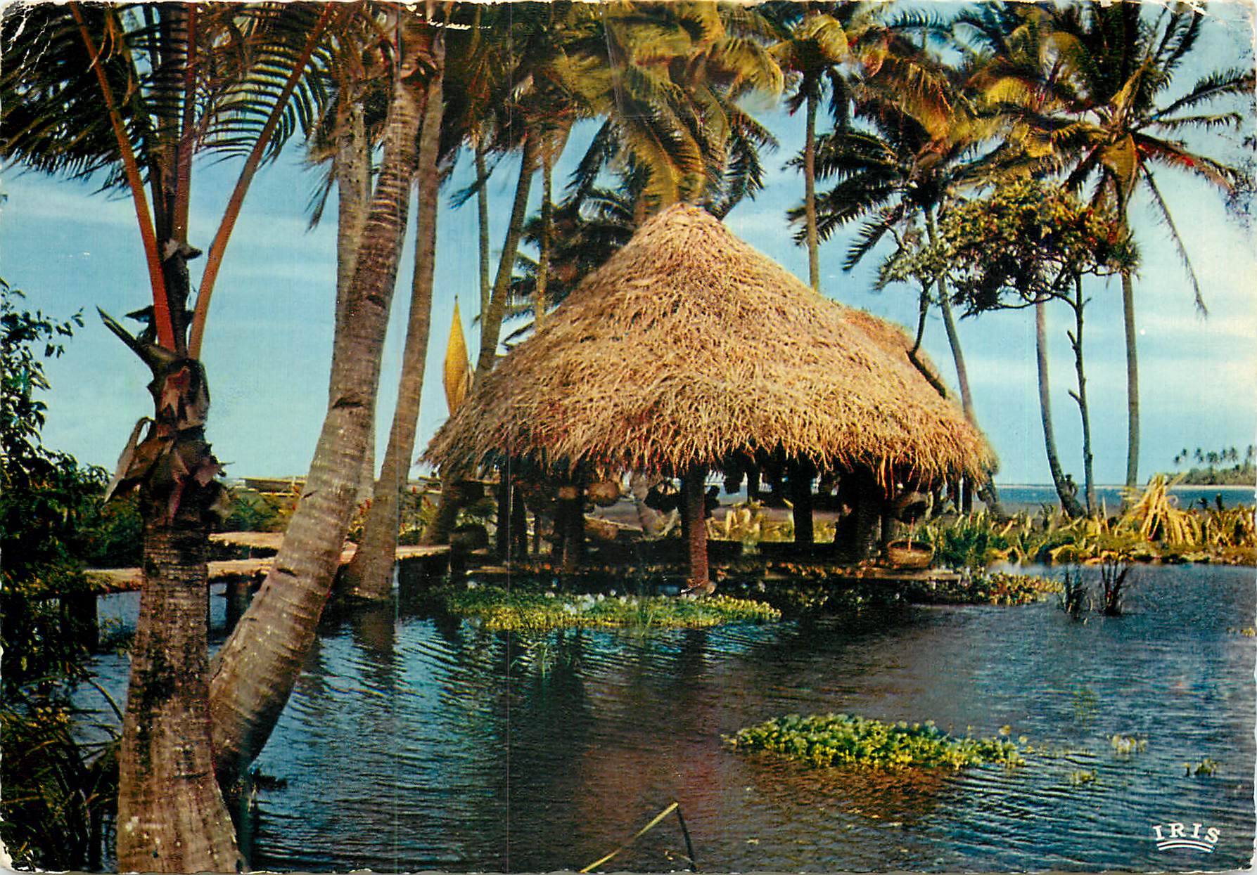 CPM Paysage Tahitien