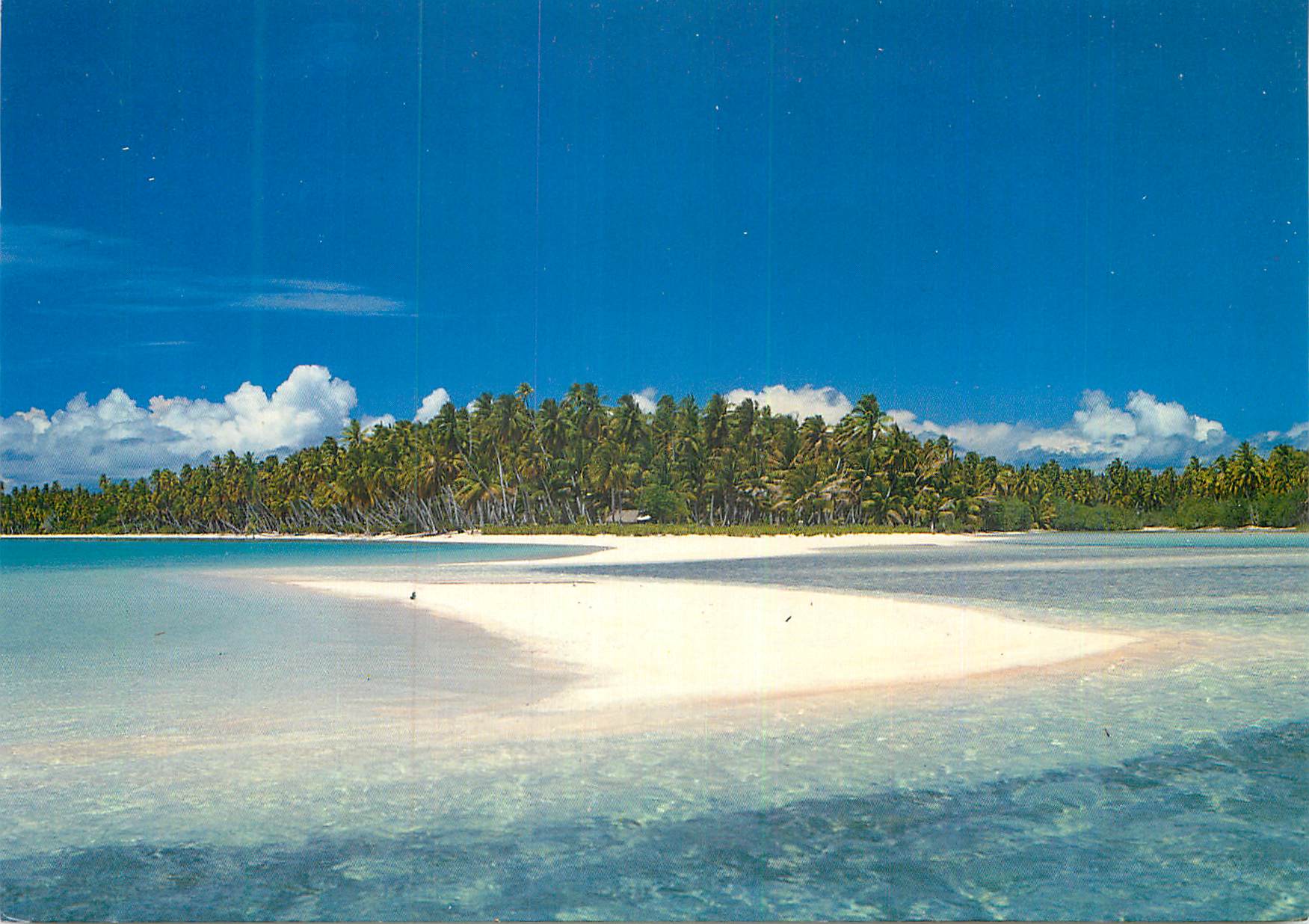 CPM Fakarava beach Tuamotu