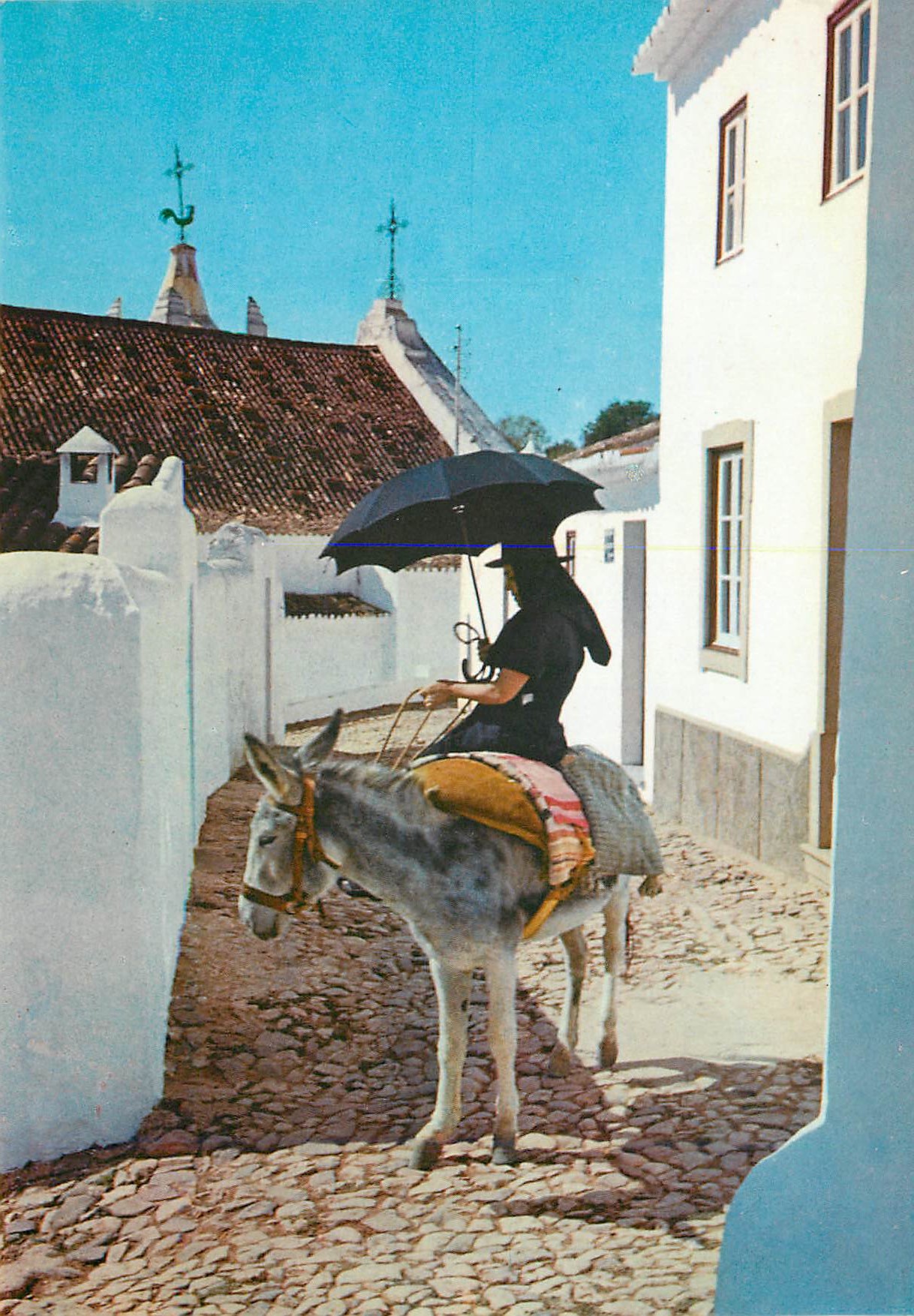 CPM Women in Algarve Ane Donkey