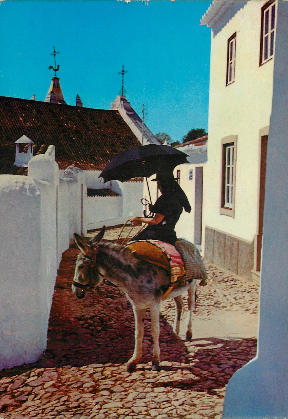 CPM Country-women Algarve Ane Donkey