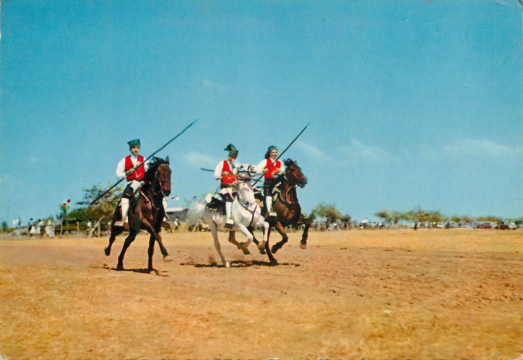 CPM Campinos of the Ribatejo-Vila Franca de Xira