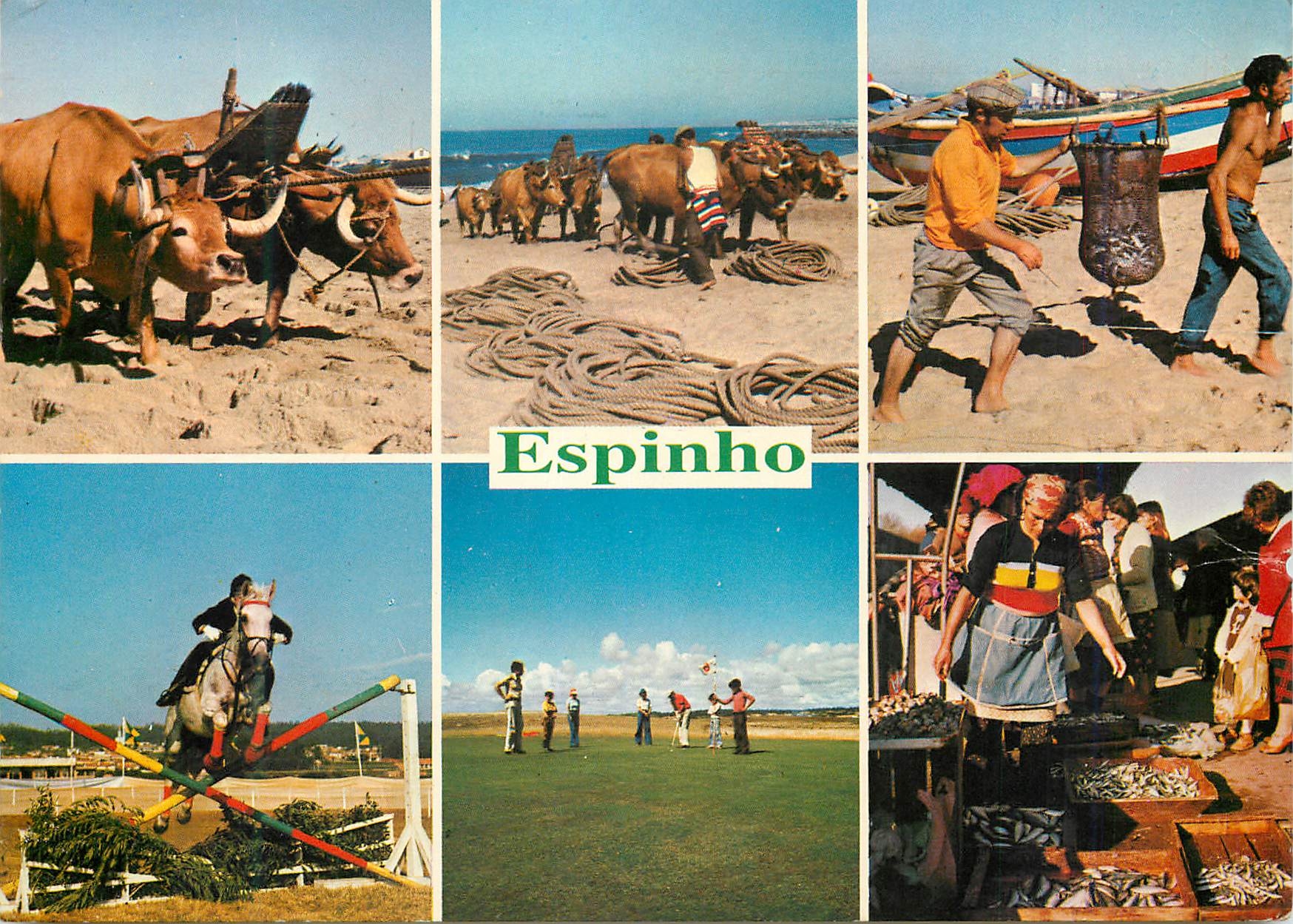 CPM Touristic motives Espinho Aveiro Peche Attelage