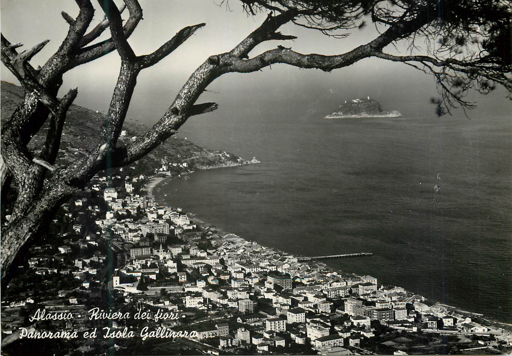 CPM Alassio Riviera dei Fiori Isola Gallinara